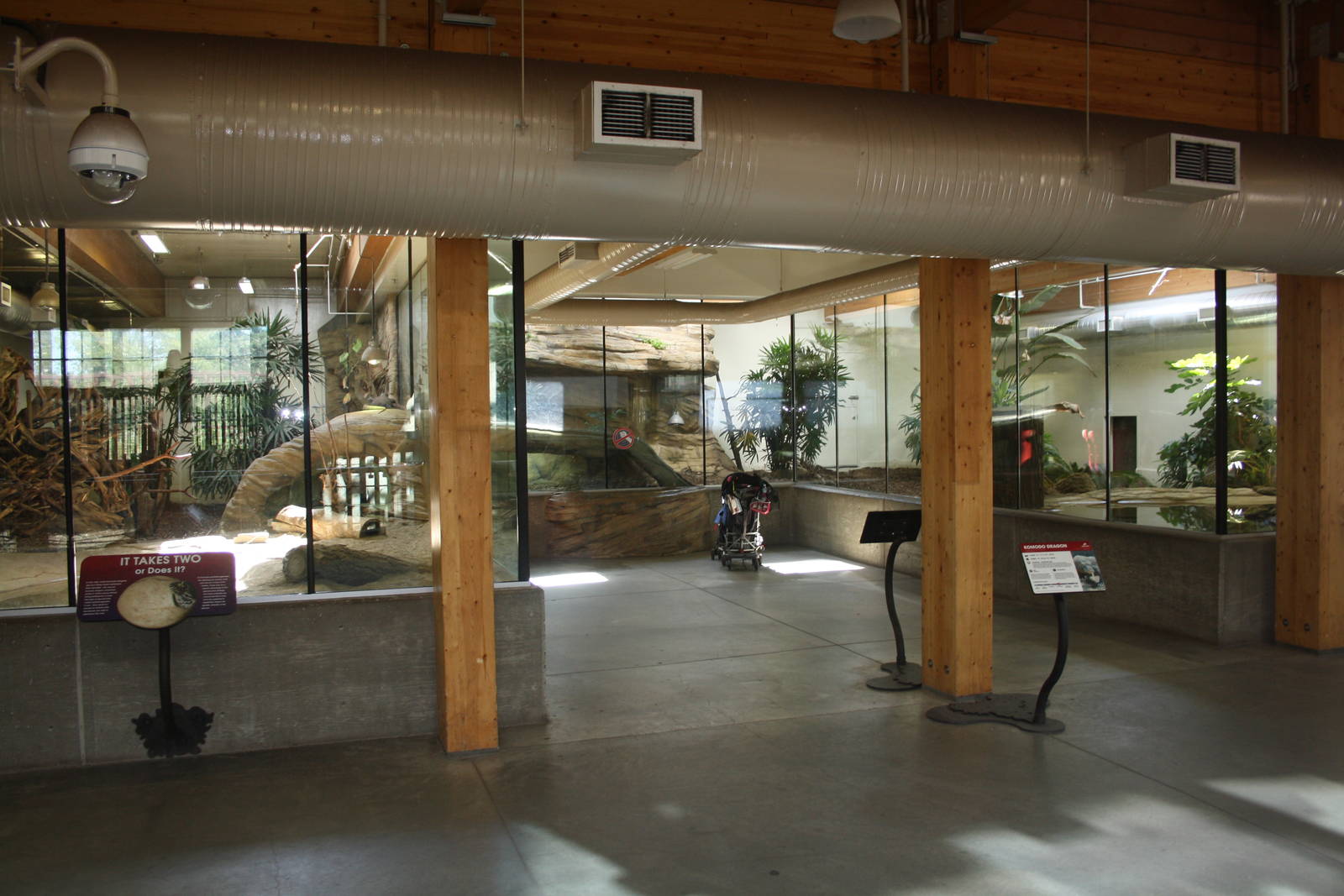 Komodo Dragon Exhibit