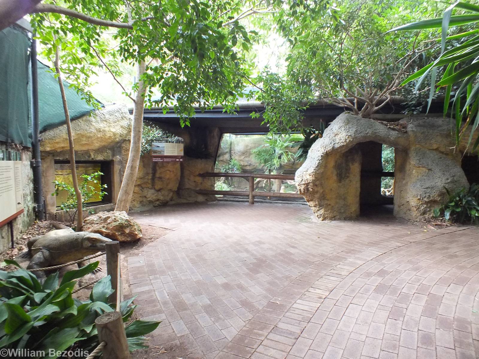 Komodo Dragon Exhibit