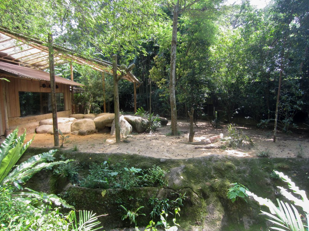 Komodo Dragon Exhibit