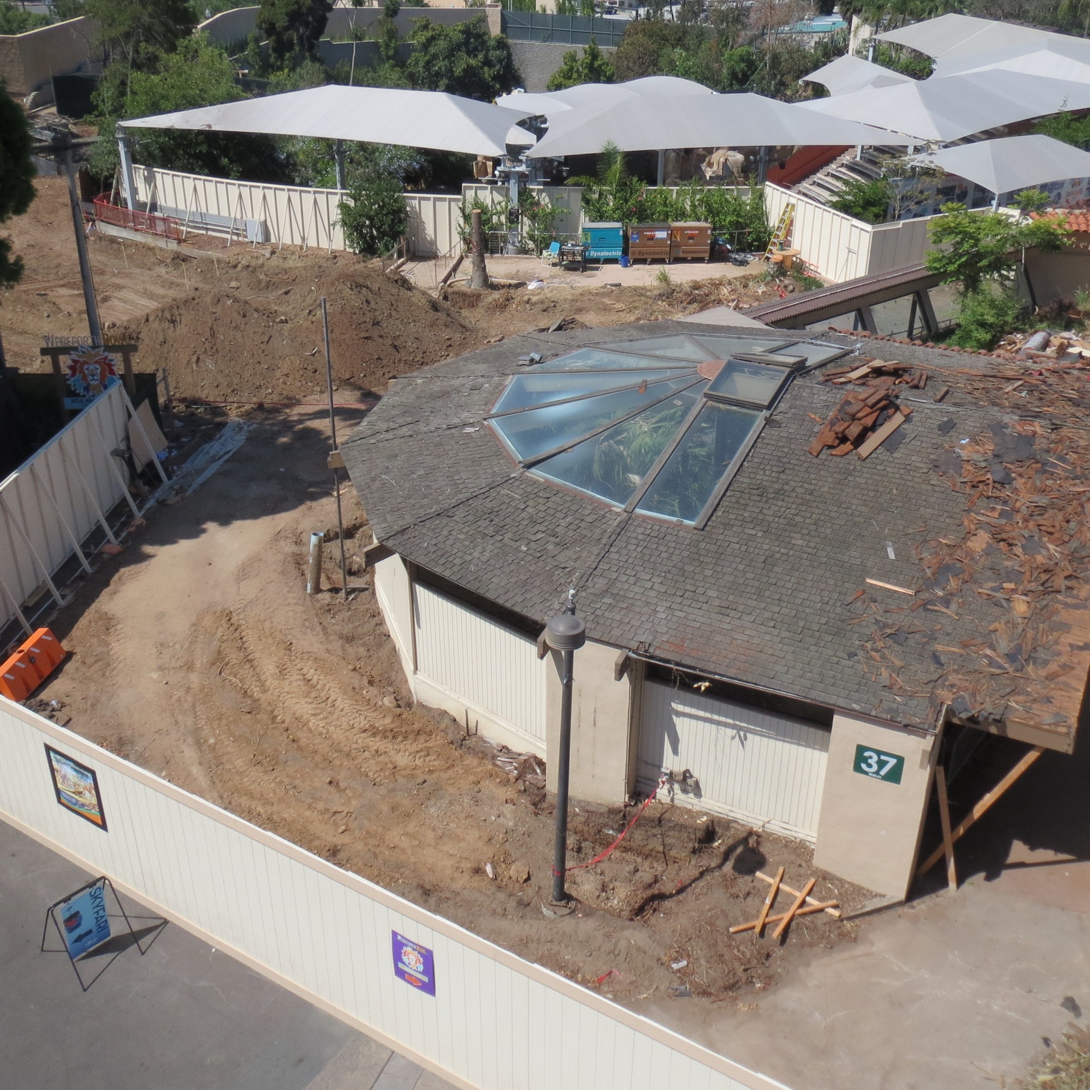 Komodo Dragon Exhibit
