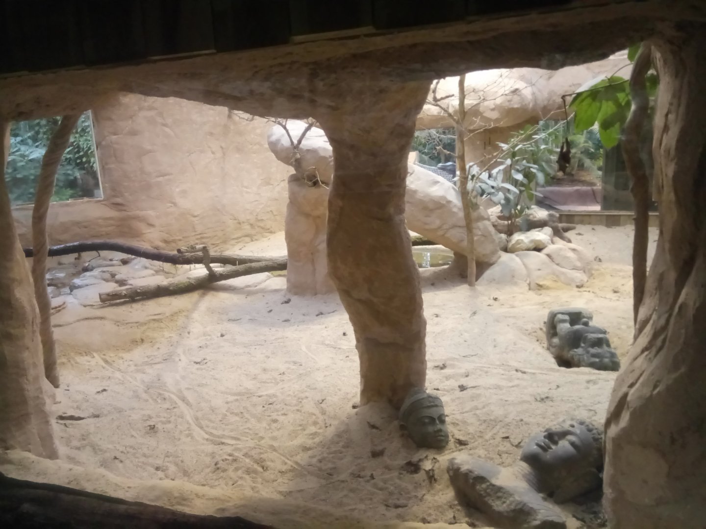 Komodo Dragon Exhibit