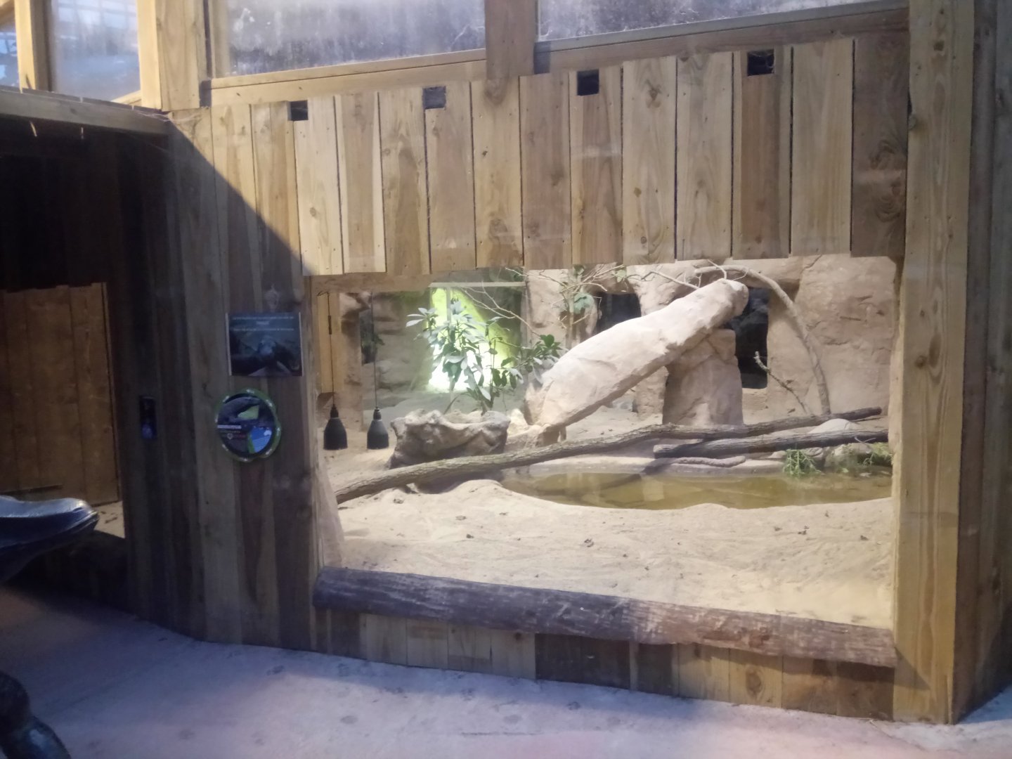 Komodo Dragon Exhibit