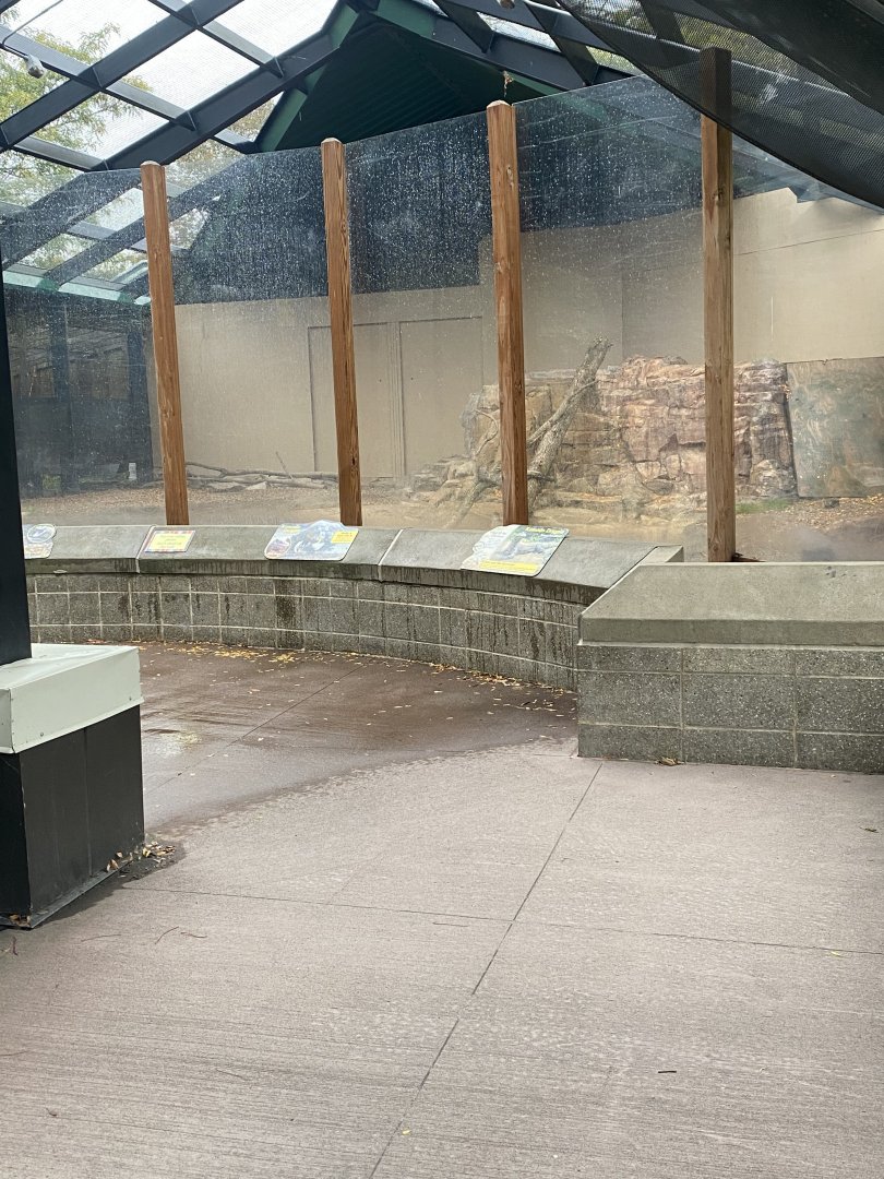 Komodo Dragon Exhibit