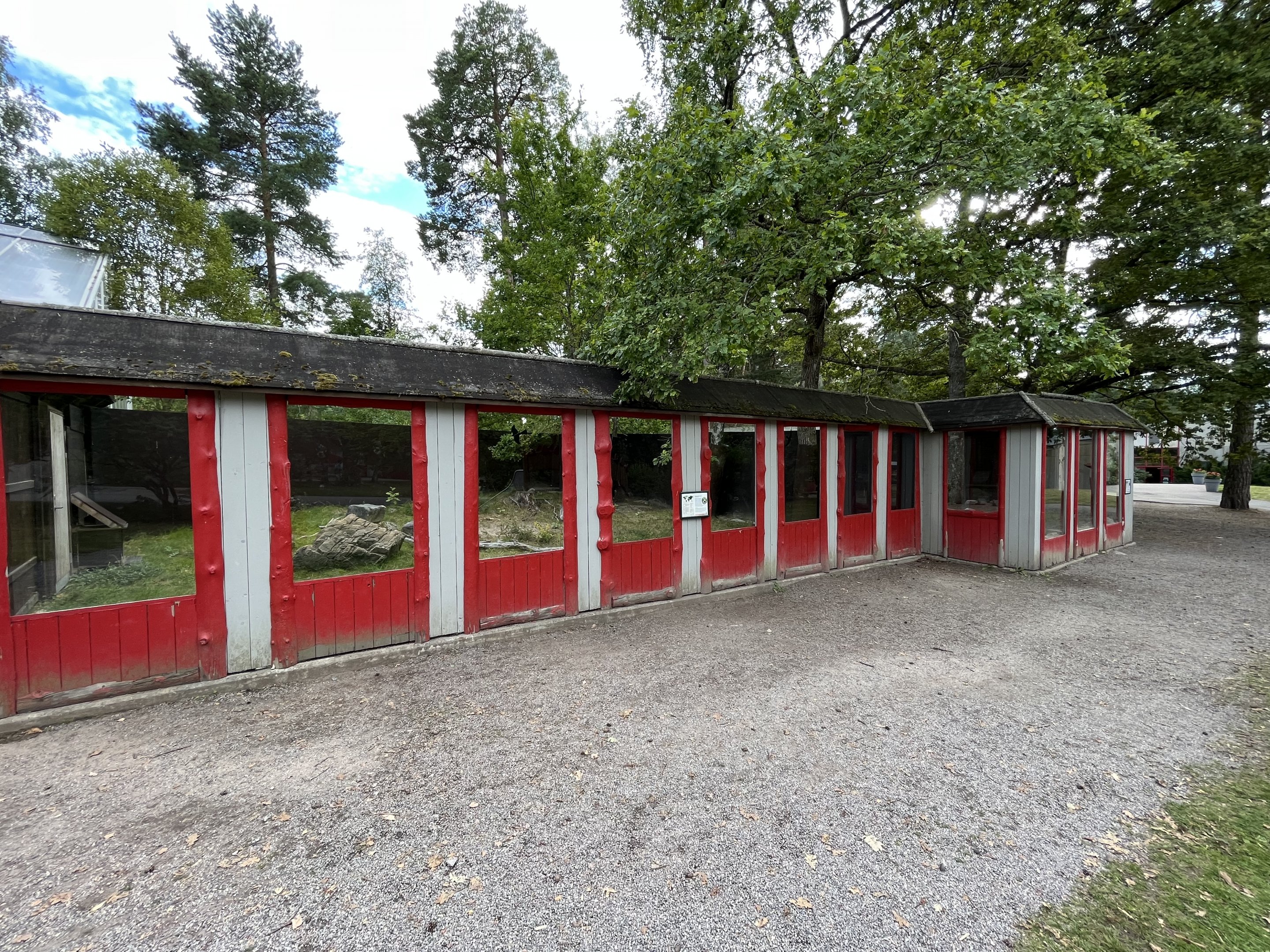 Komodo Dragon Exhibit