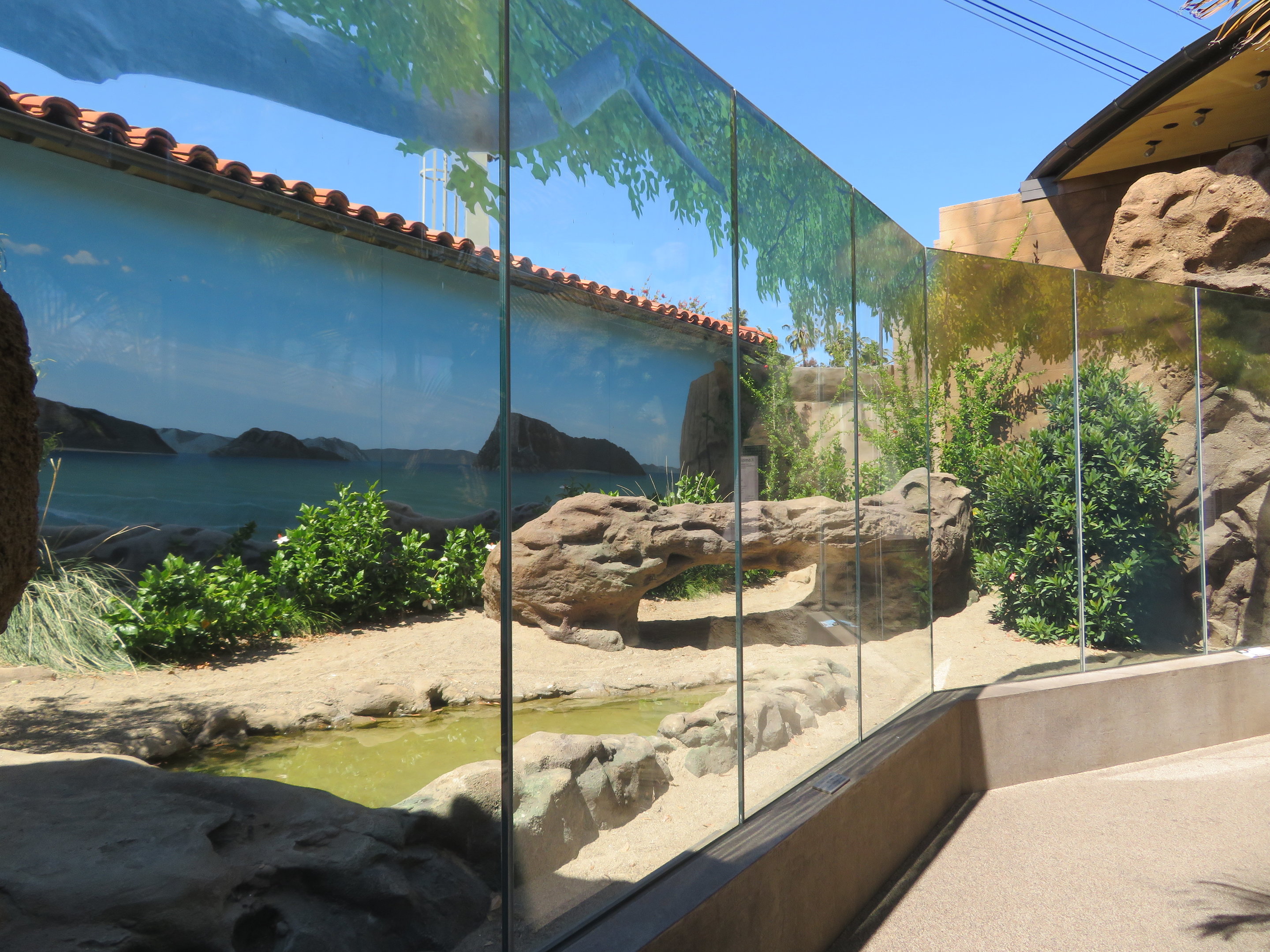 Komodo Dragon Exhibit