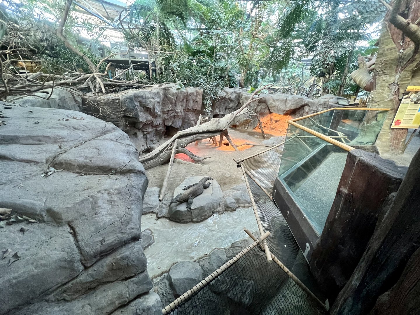 Komodo Dragon Exhibit