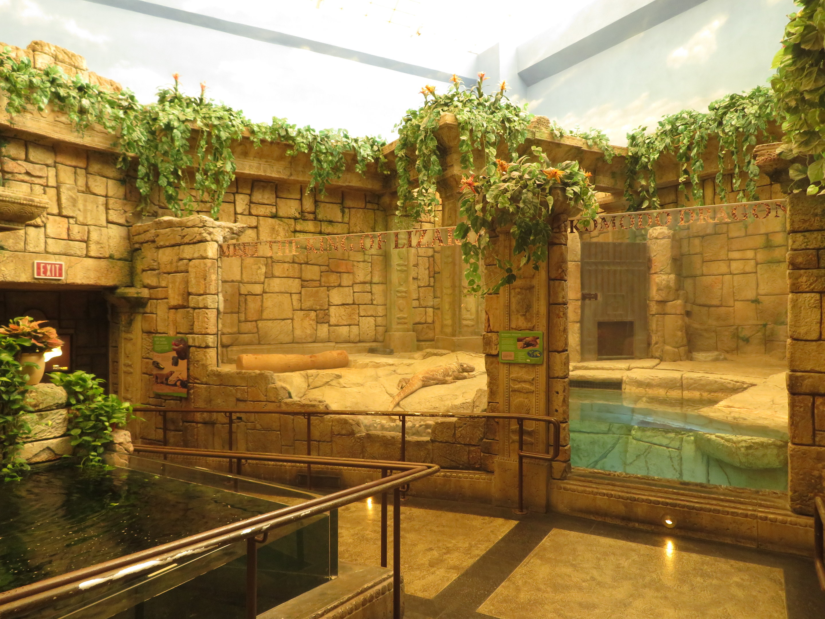 Komodo Dragon Exhibit