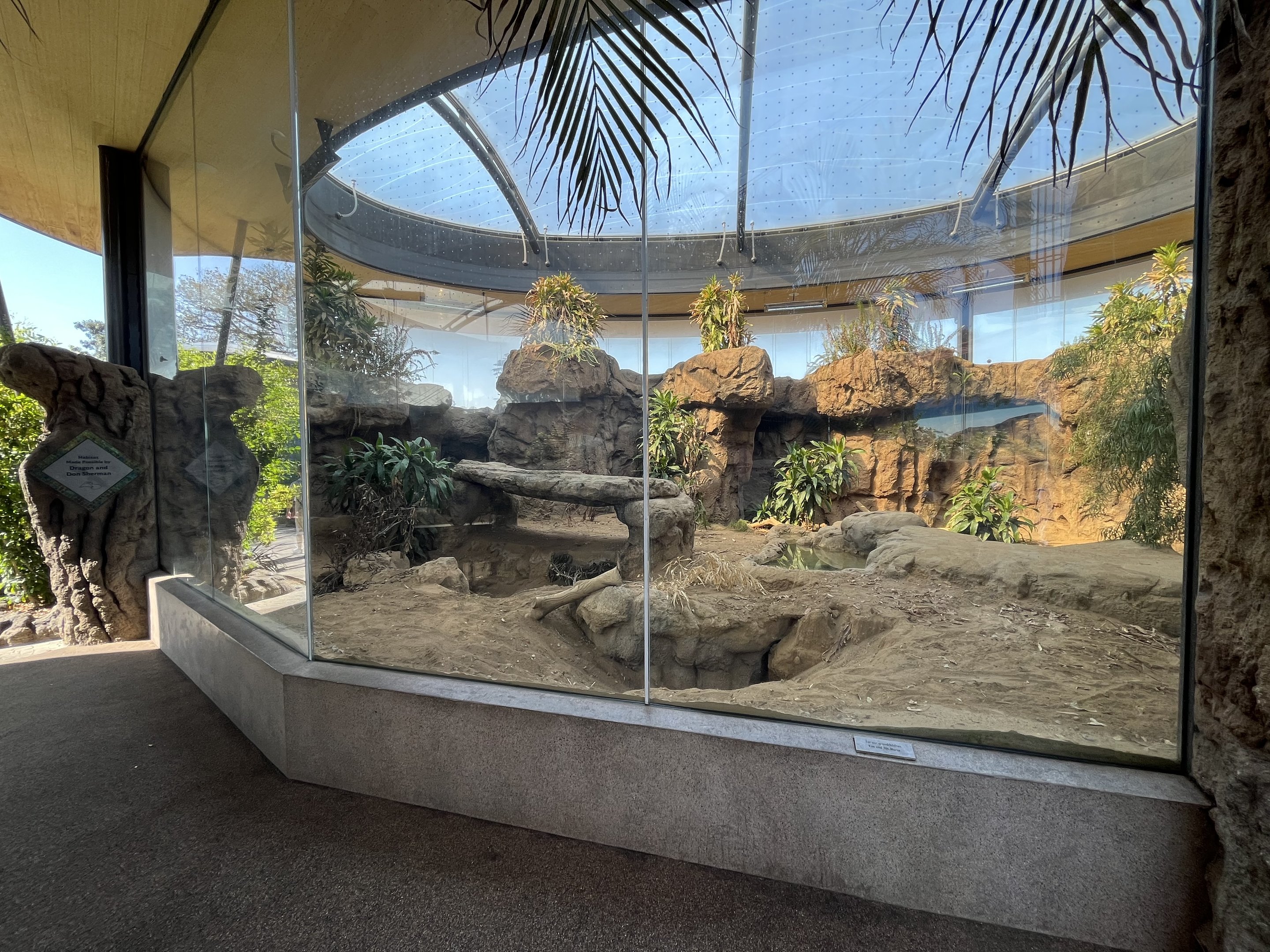 Komodo Dragon Exhibit