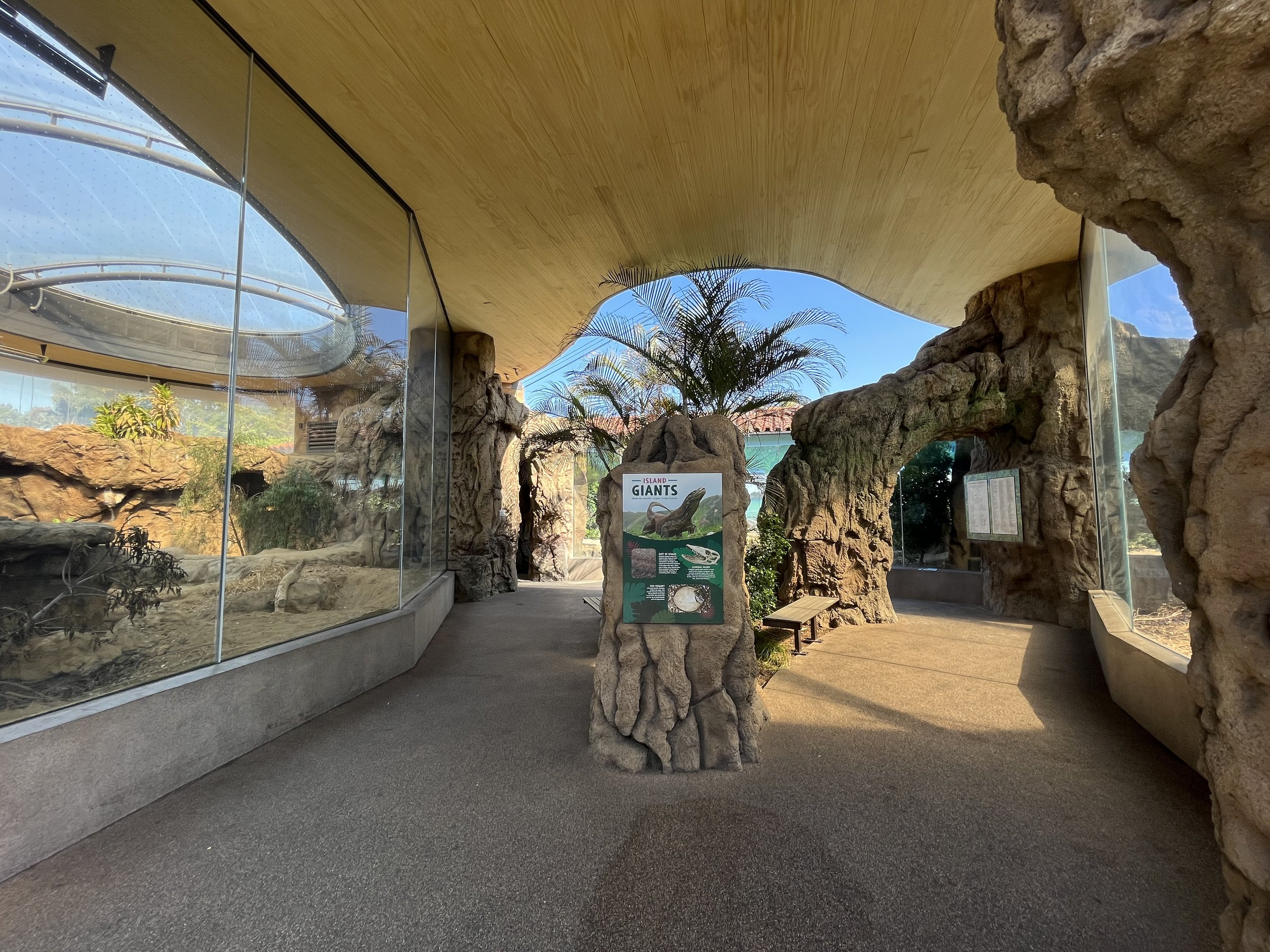 Komodo Dragon Exhibit