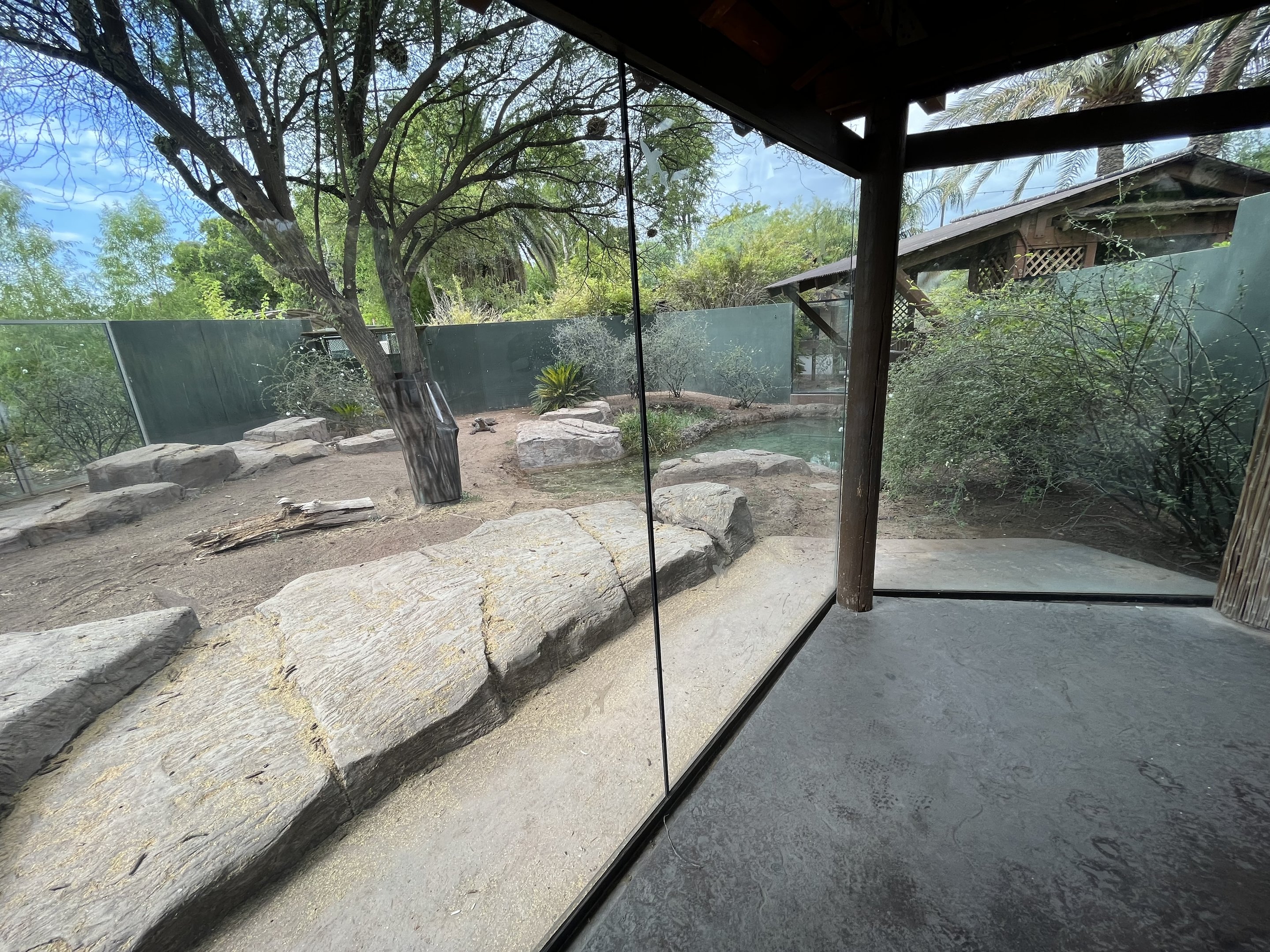 Komodo Dragon Exhibit