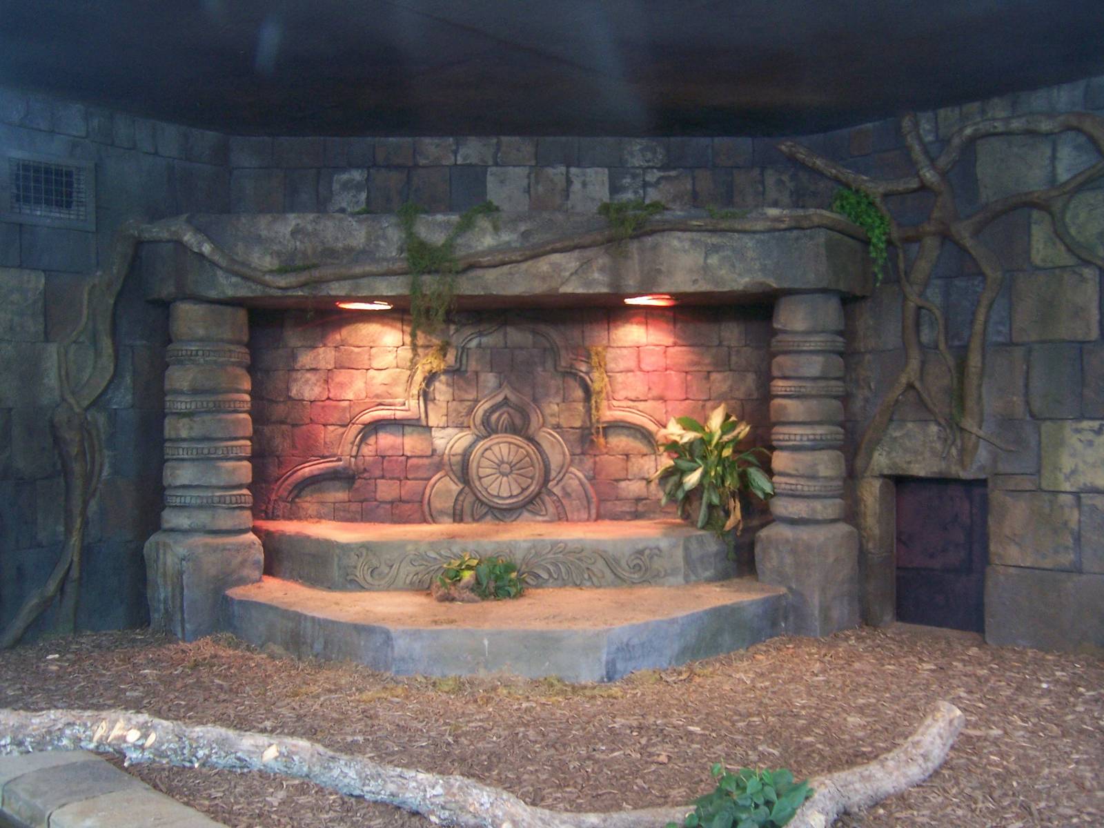 Komodo Dragon exhibit