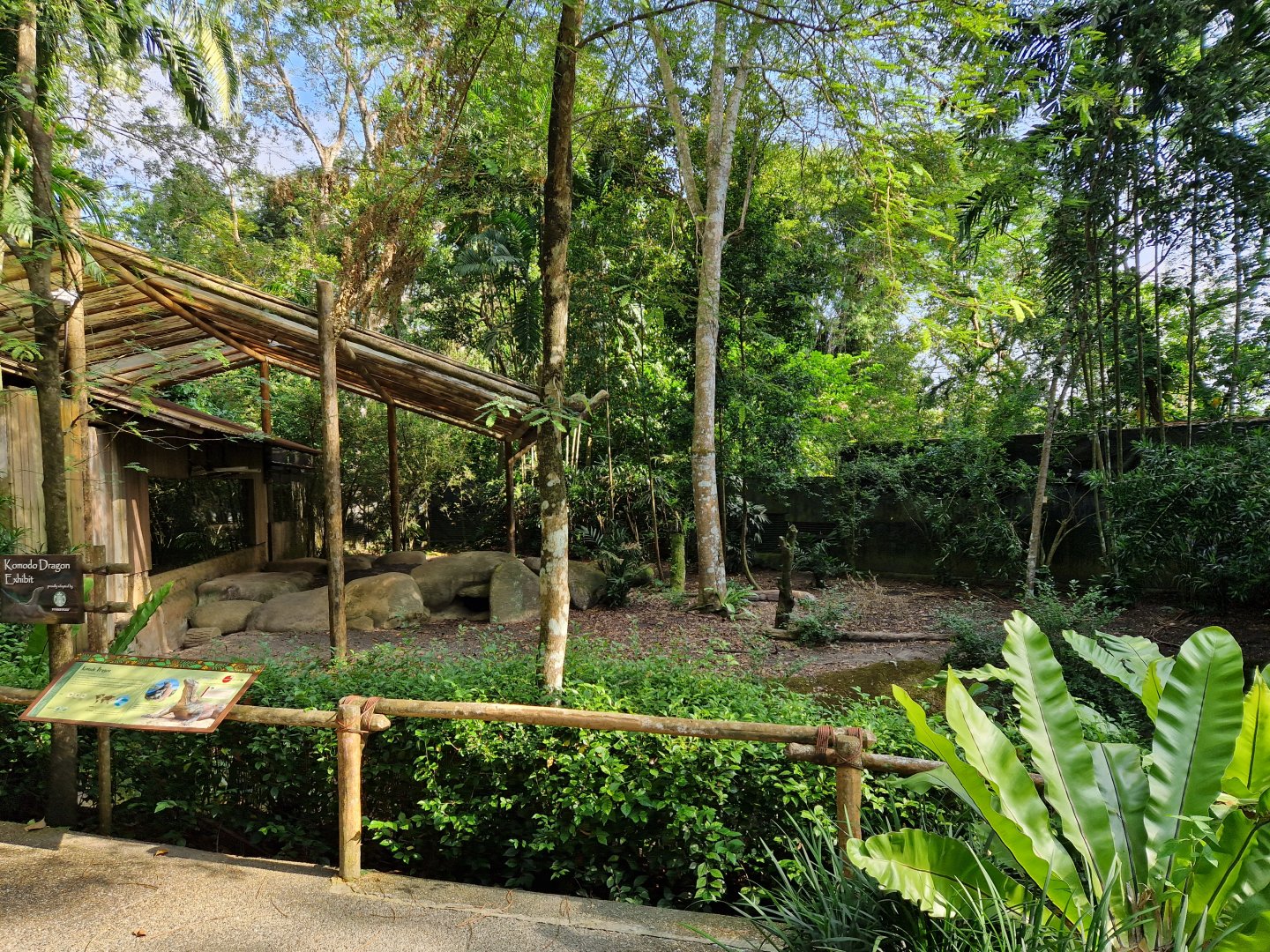 Komodo Dragon exhibit