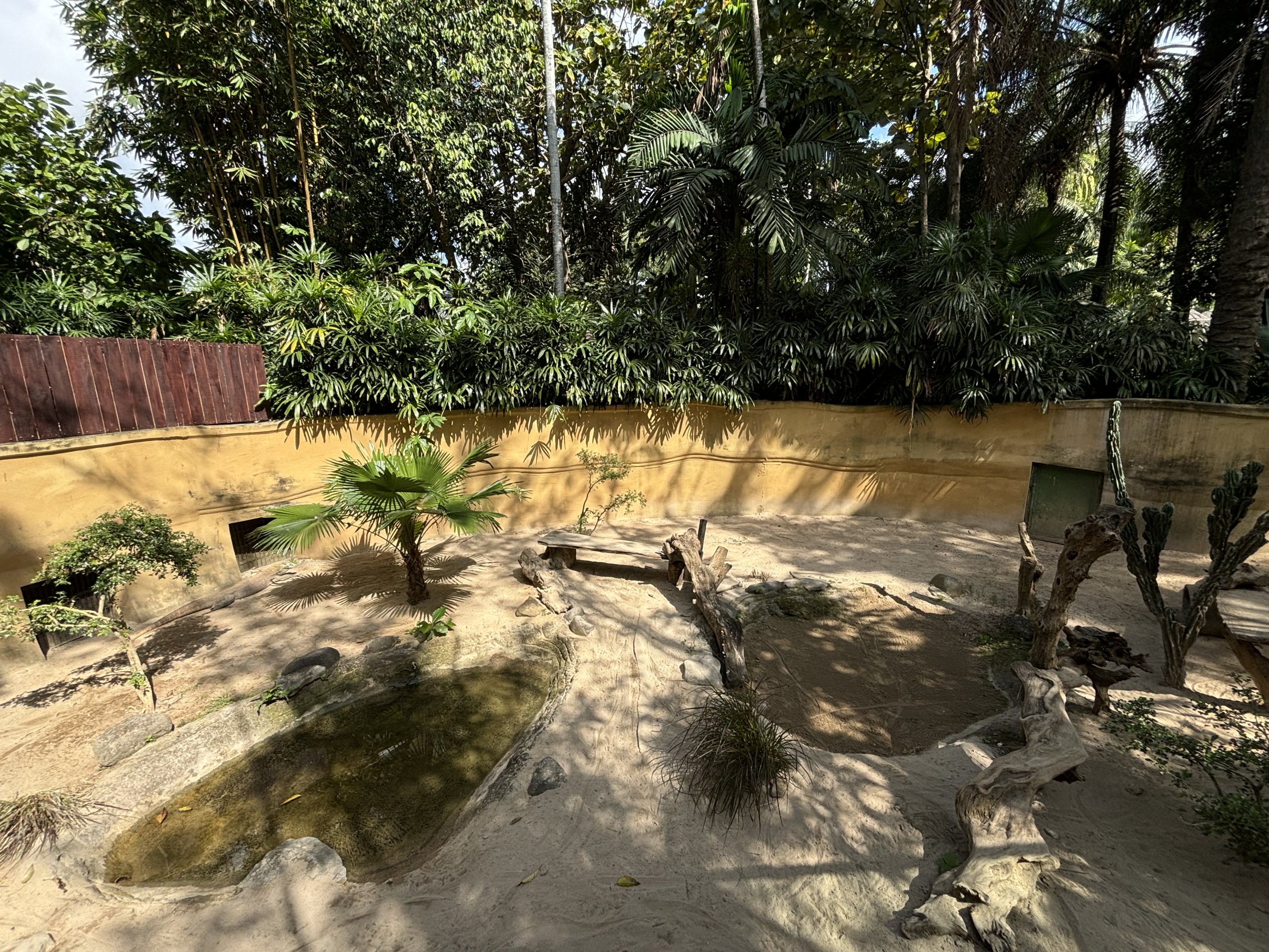 Komodo Dragon Exhibit