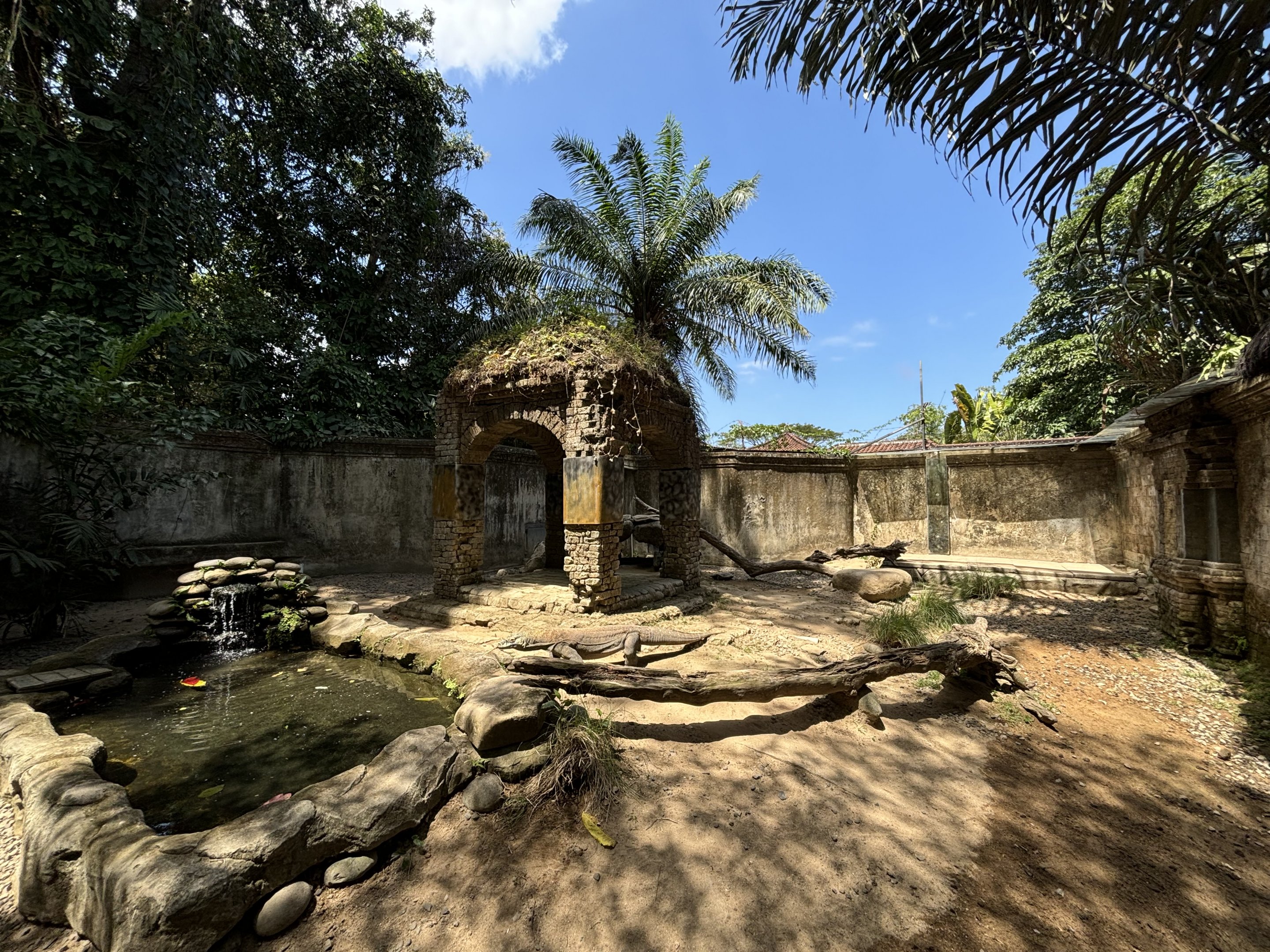 Komodo Dragon Exhibit