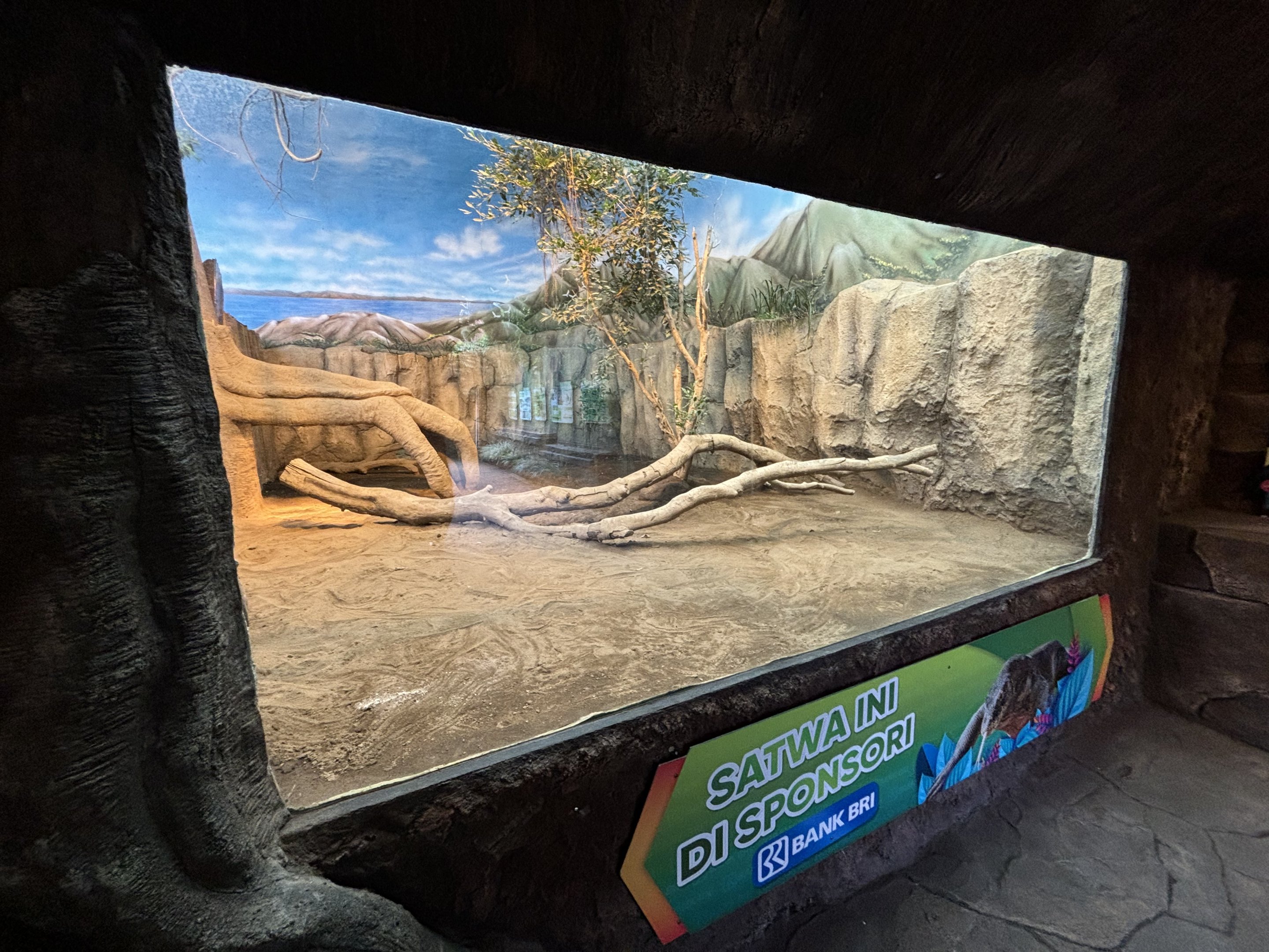 Komodo Dragon Exhibit