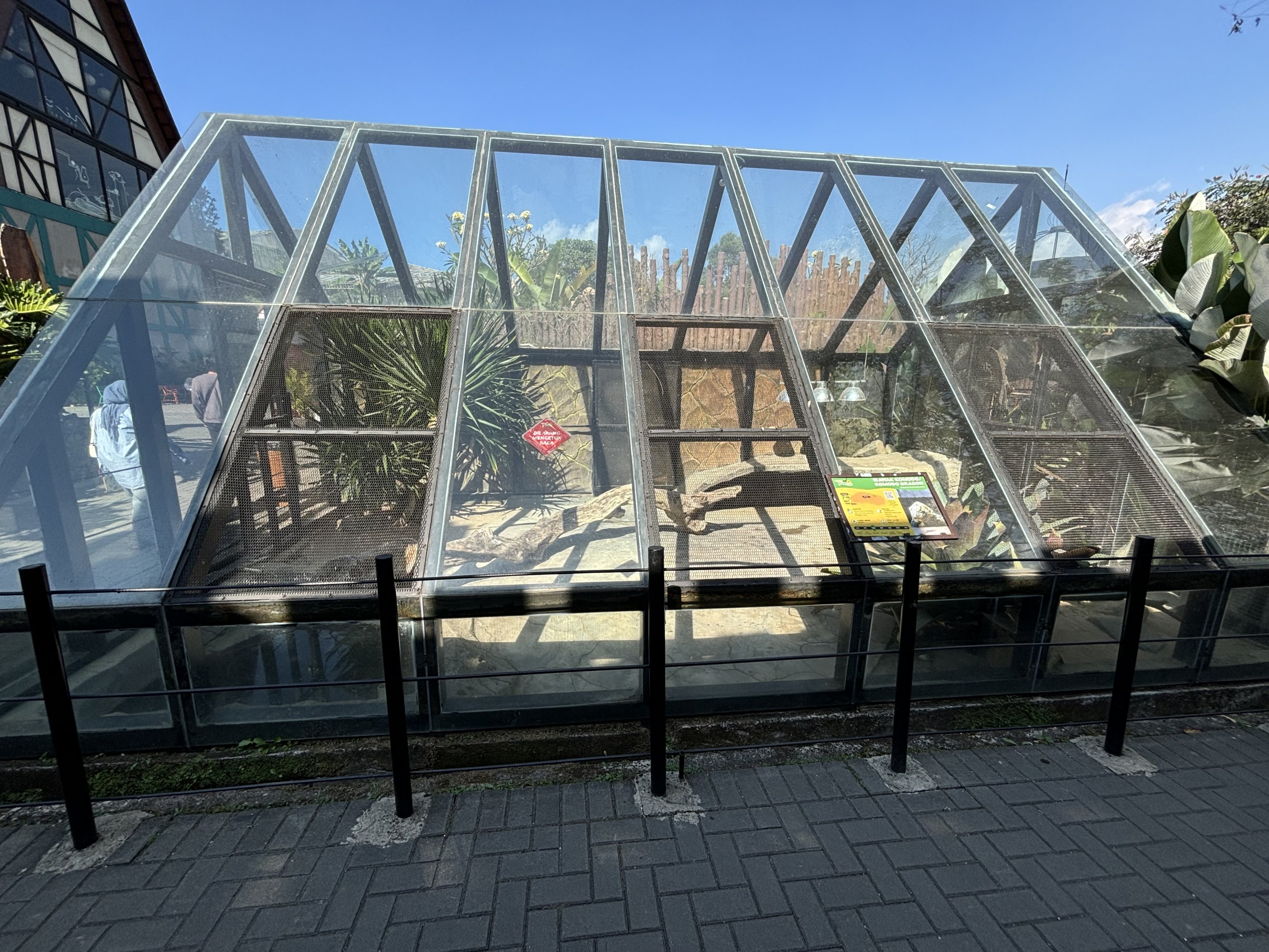 Komodo Dragon Exhibit