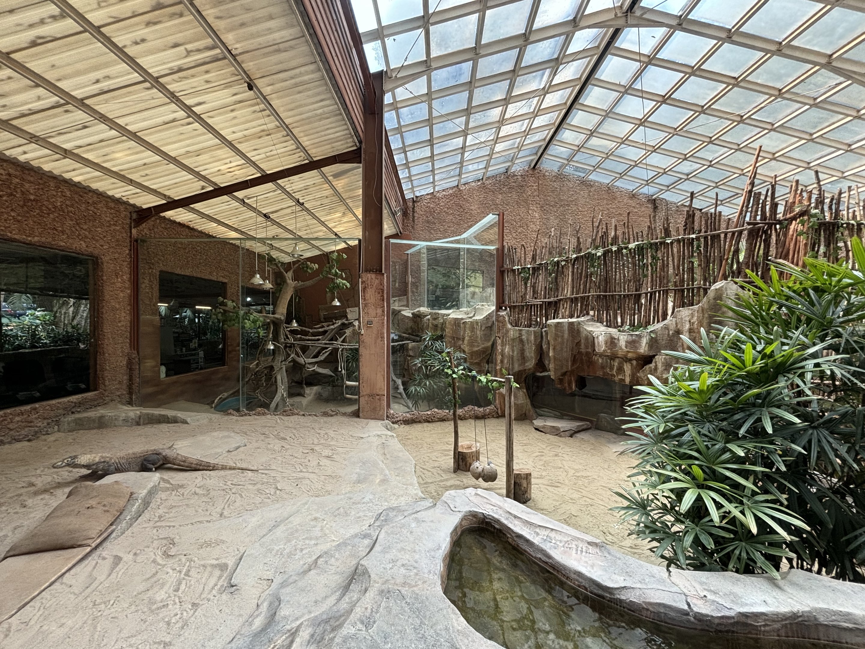 Komodo Dragon Exhibit