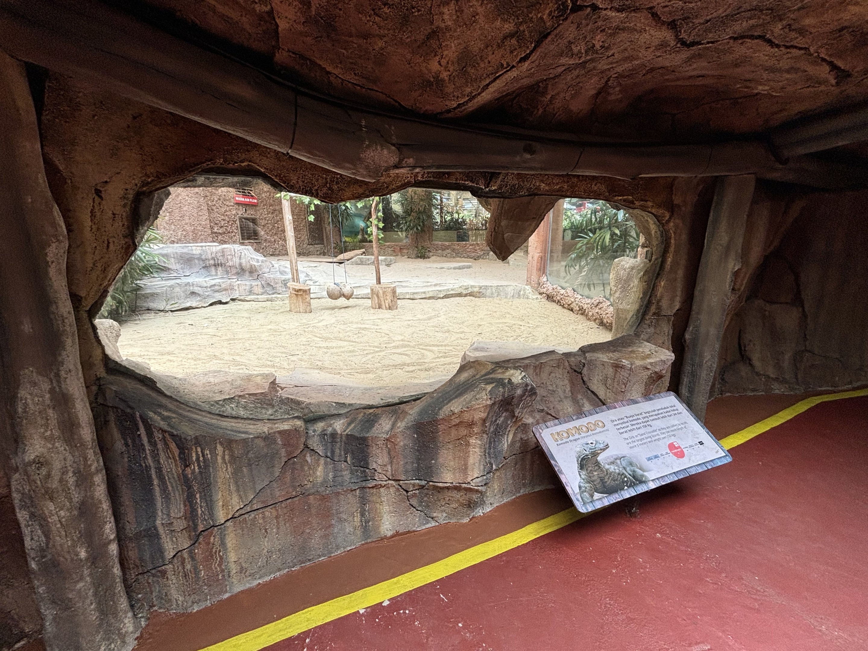 Komodo Dragon Exhibit