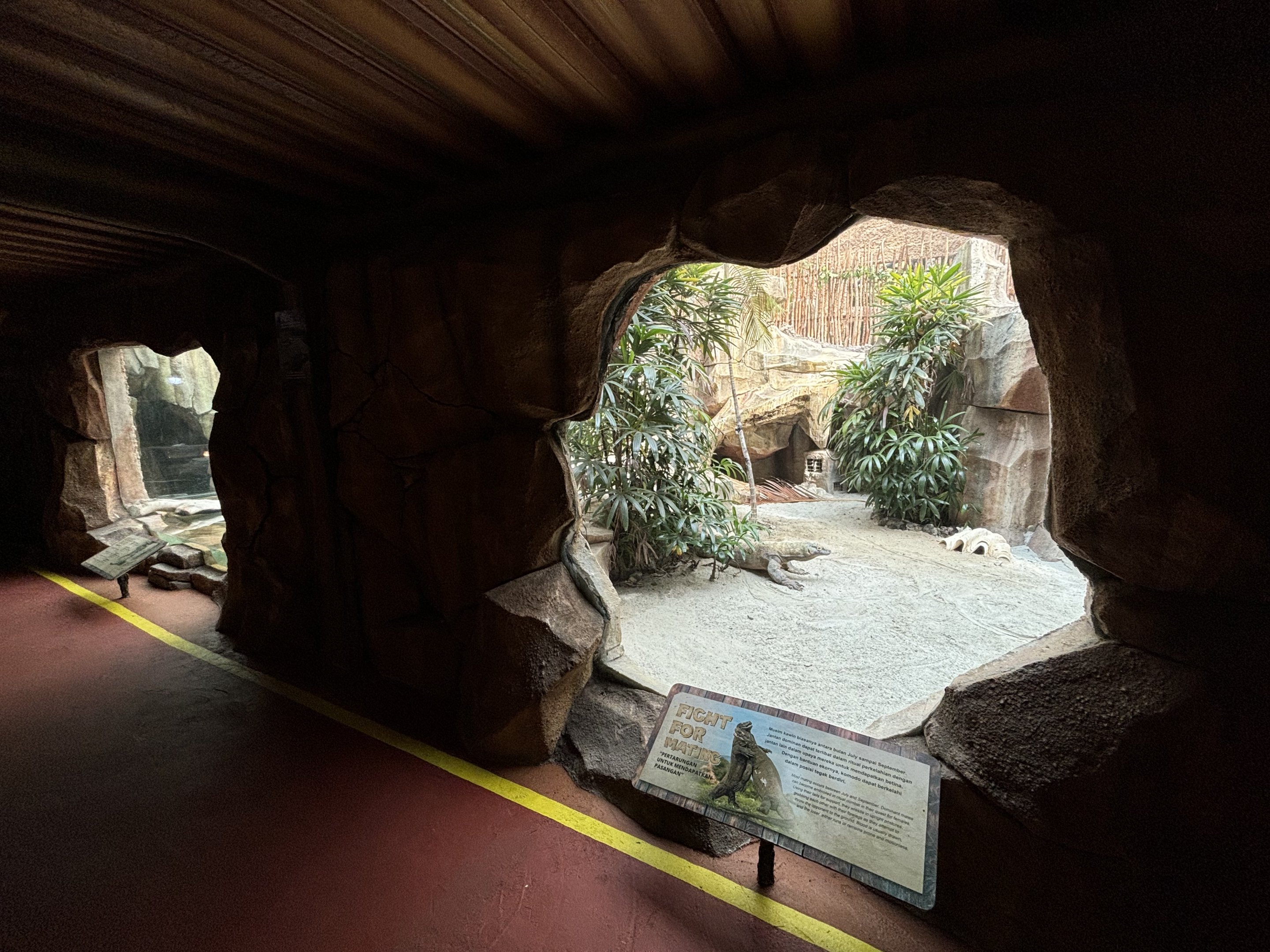 Komodo Dragon Exhibit