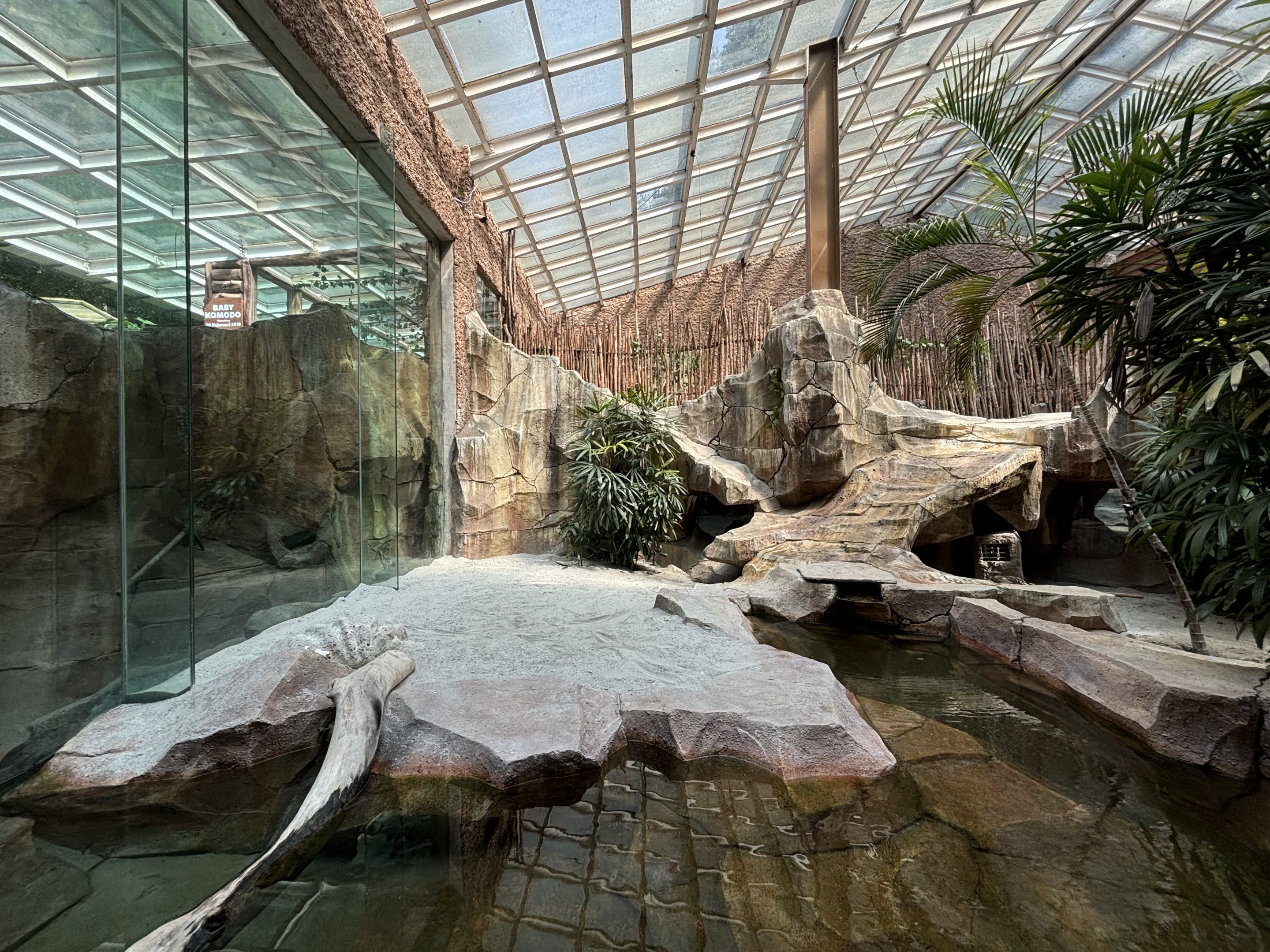 Komodo Dragon Exhibit