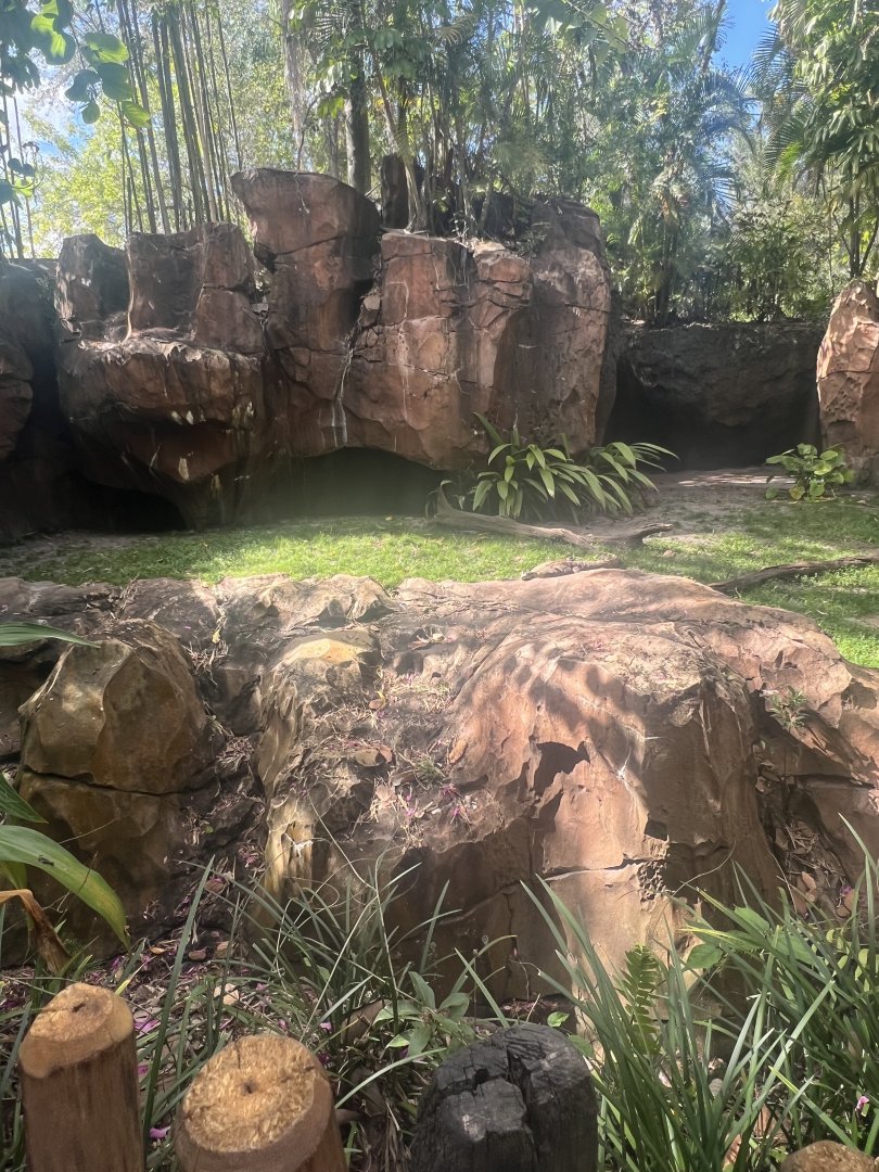 Komodo Dragon Exhibit