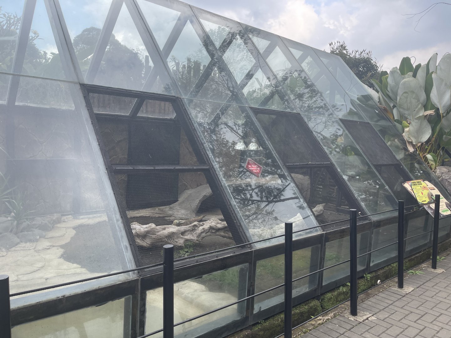 komodo dragon exhibit