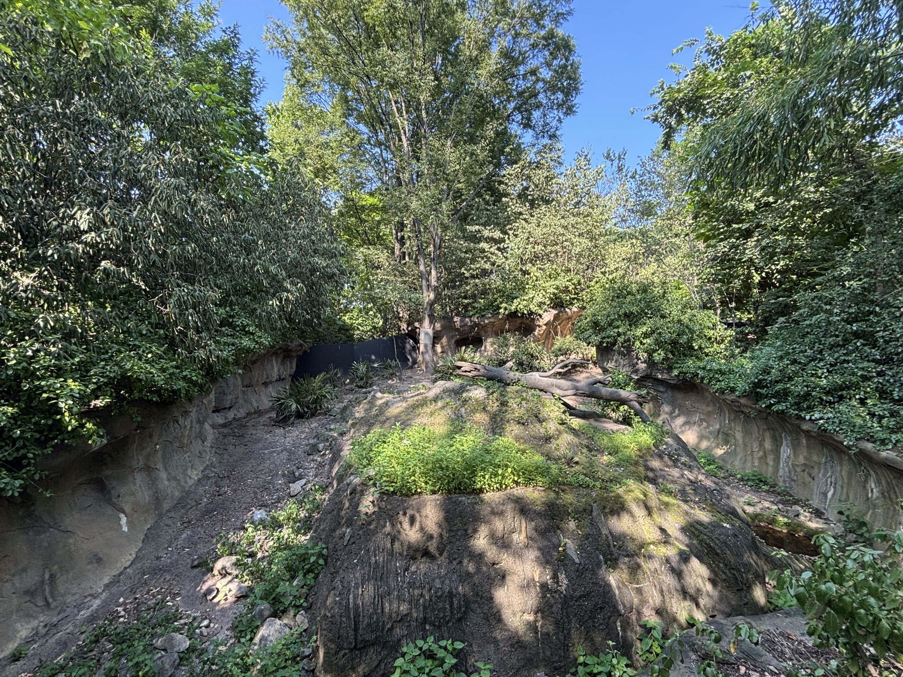 Komodo Dragon Exhibit