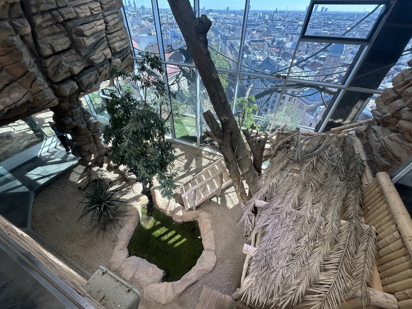 Komodo Dragon Exhibit