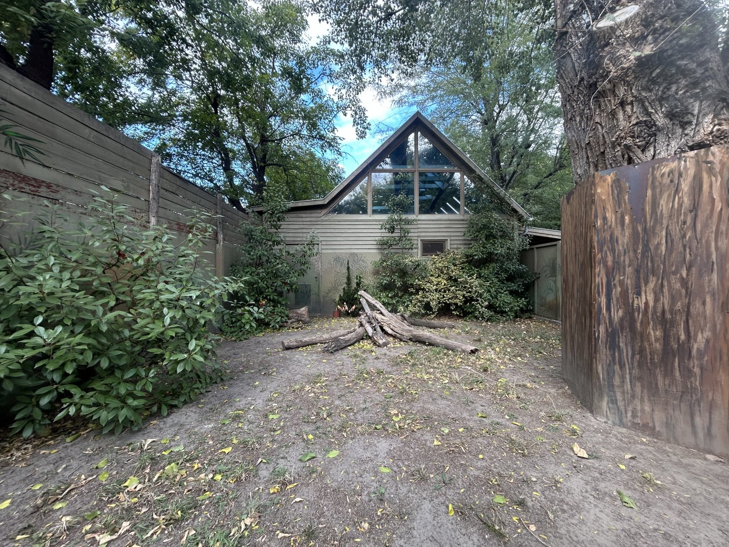 Komodo Dragon Exhibit