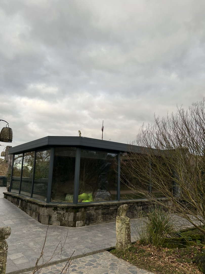 Komodo dragon exhibit