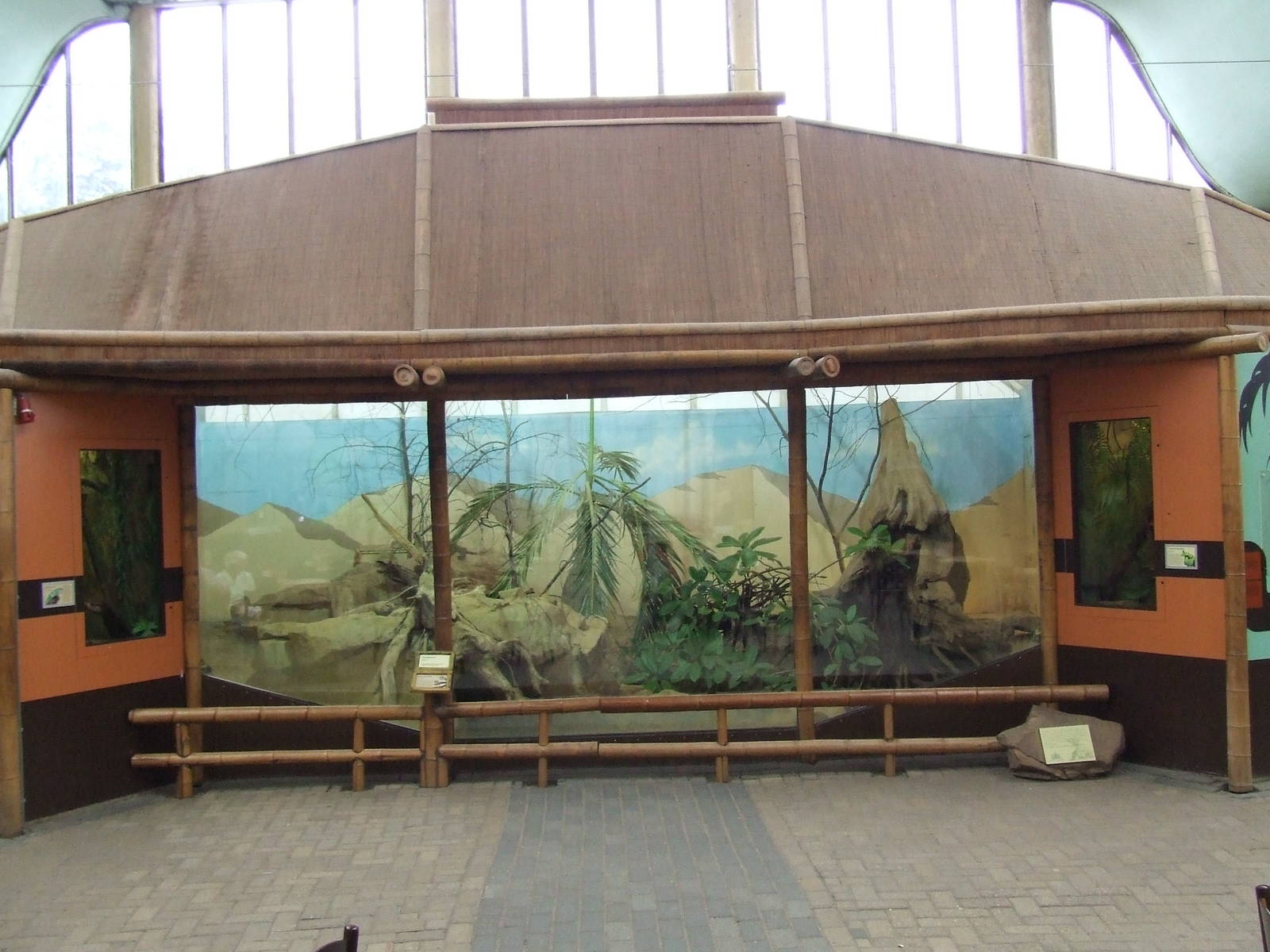 Komodo Dragon exhibit
