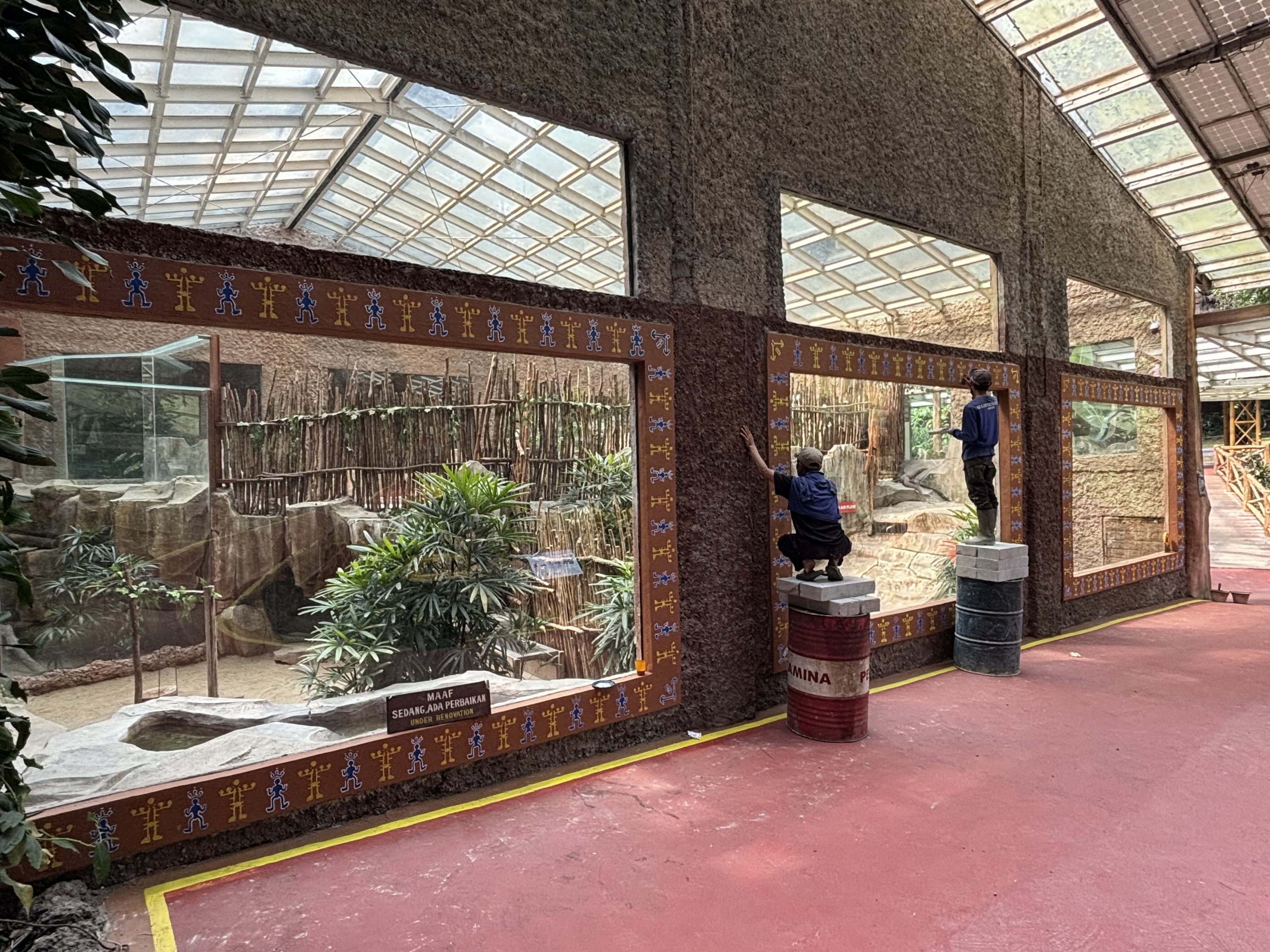 Komodo Dragon Exhibits