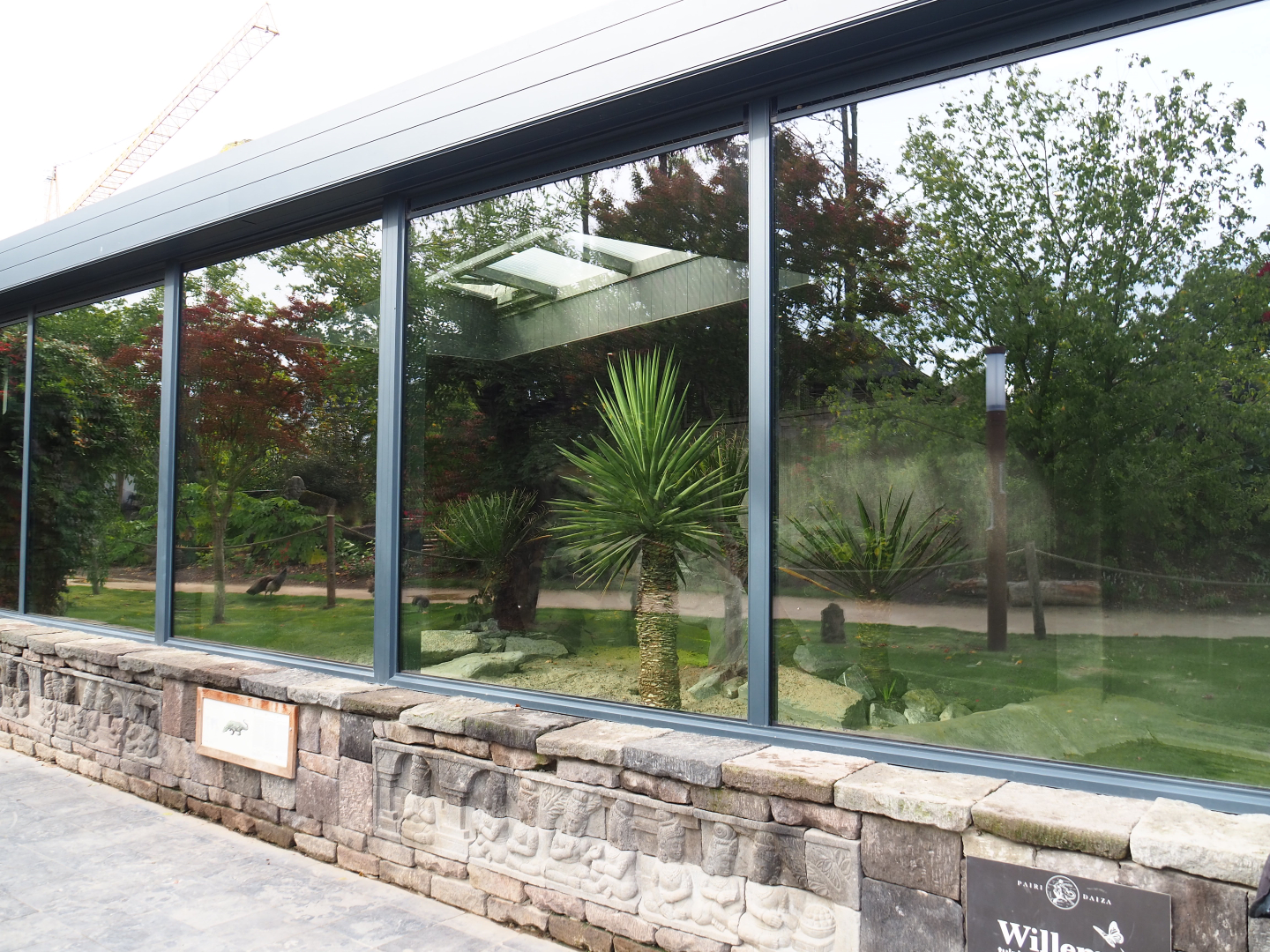 Komodo dragon house, 2019-10-04