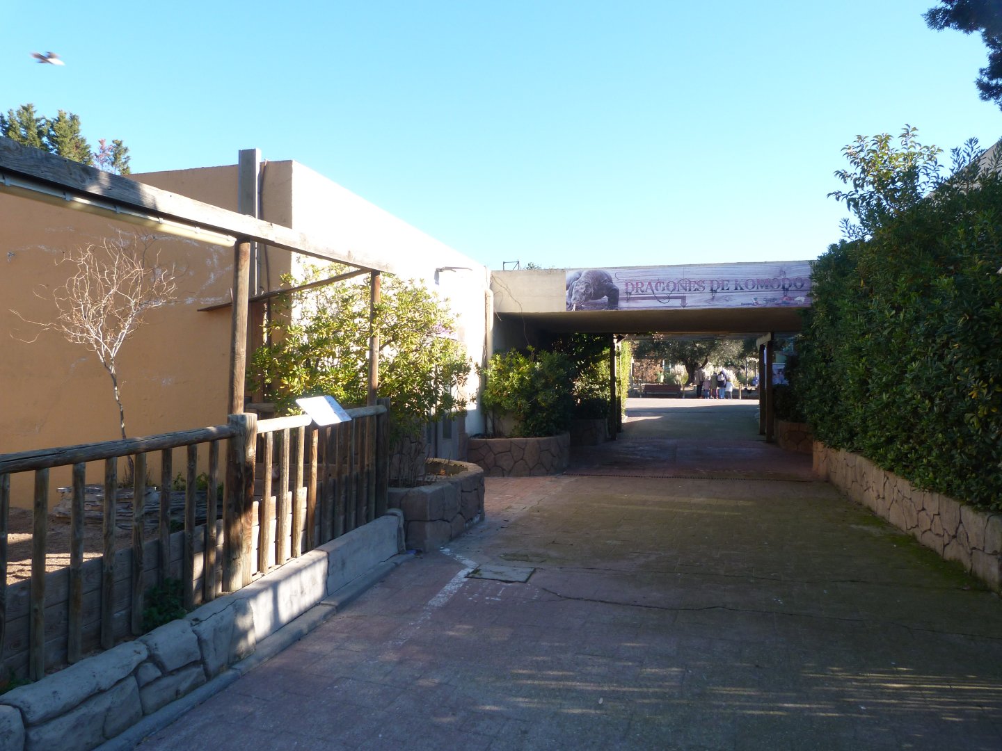 Komodo dragon house -Faunia (2025)