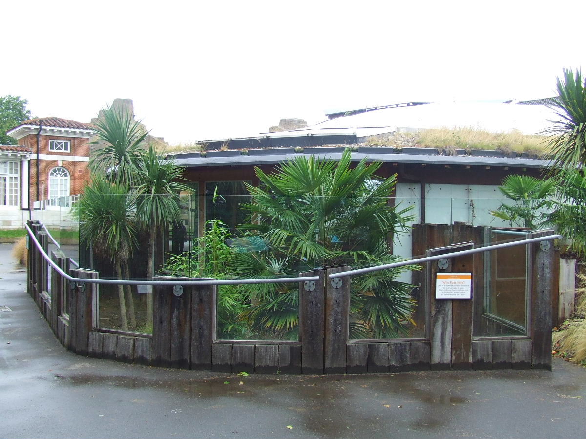 Komodo Dragon House, outdoor enclosure