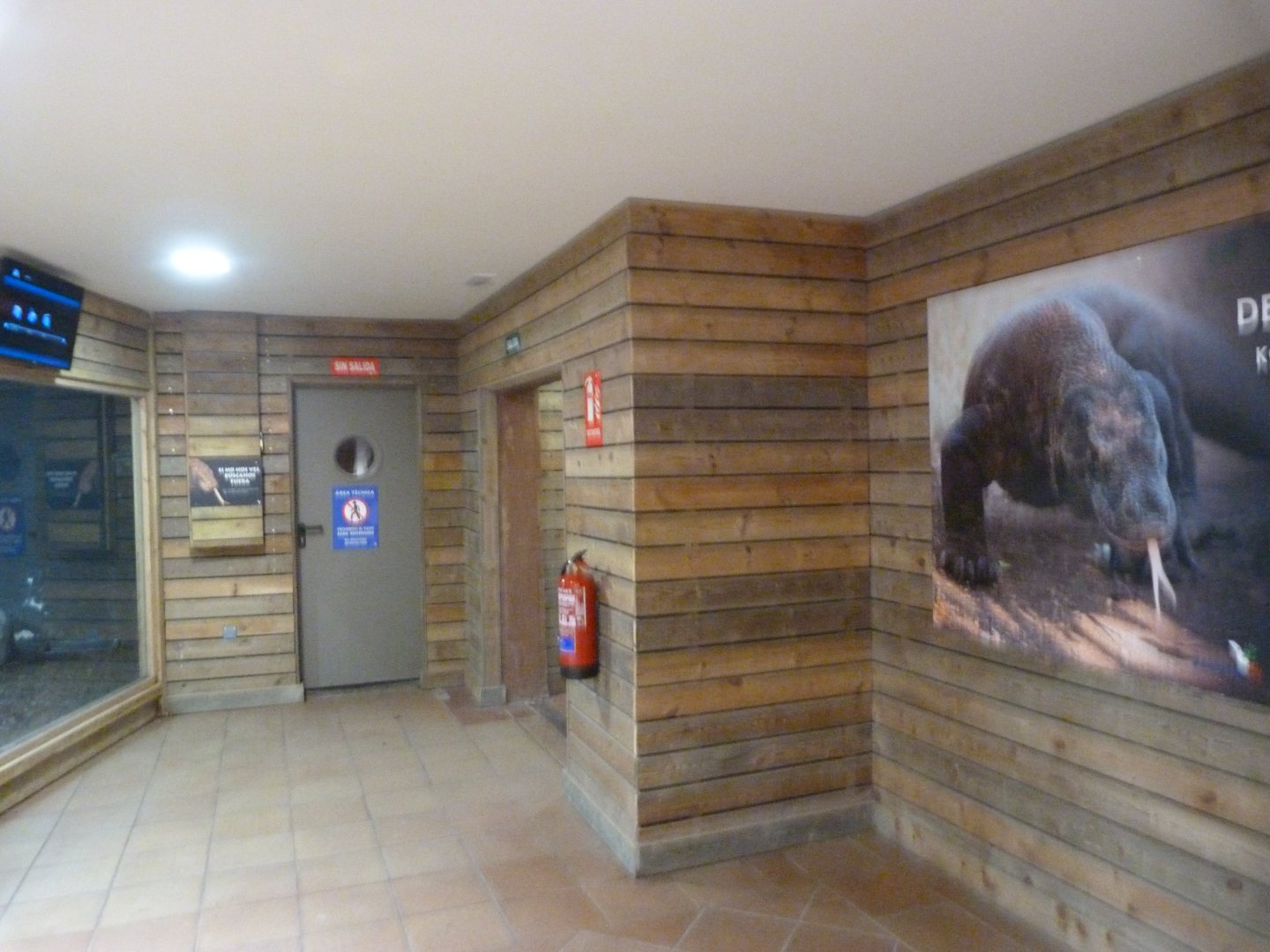 Komodo dragon house view -Faunia (2025)