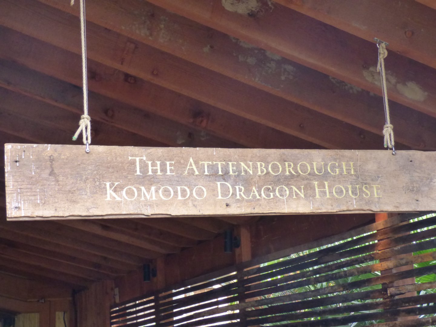 Komodo Dragon House