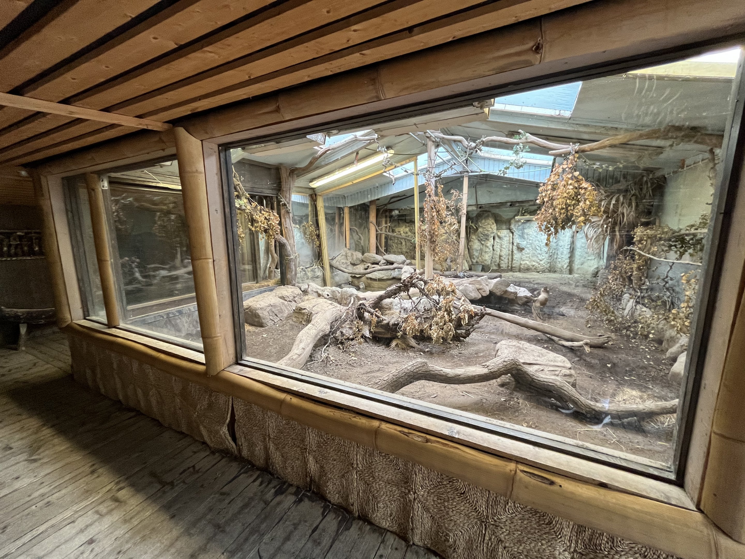 Komodo Dragon House