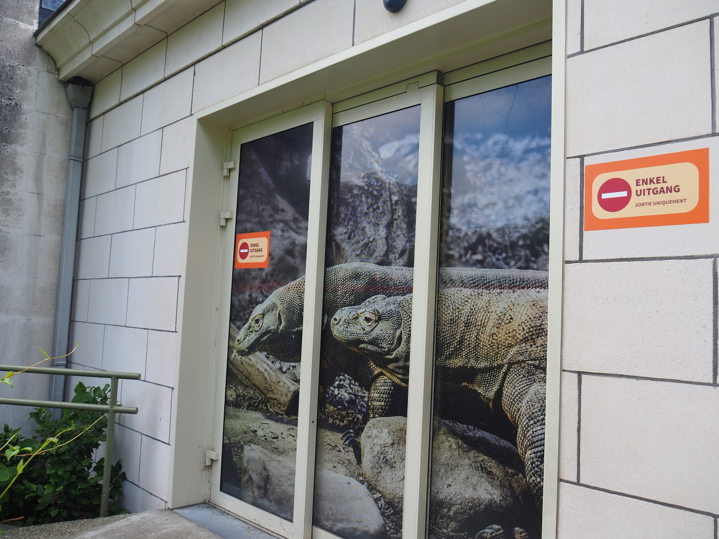 Komodo dragon imagery on Reptile house doors, 2020-06-28
