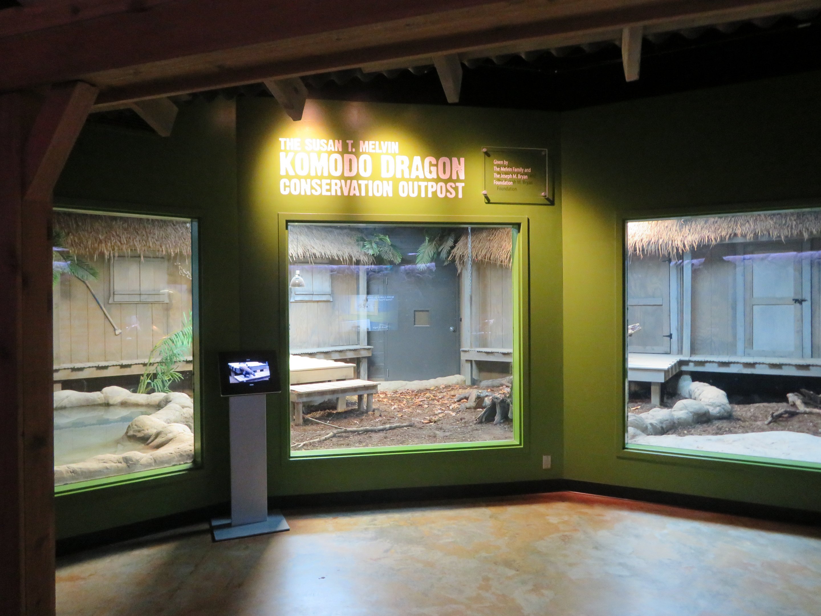 Komodo Dragon Indoor Exhibit