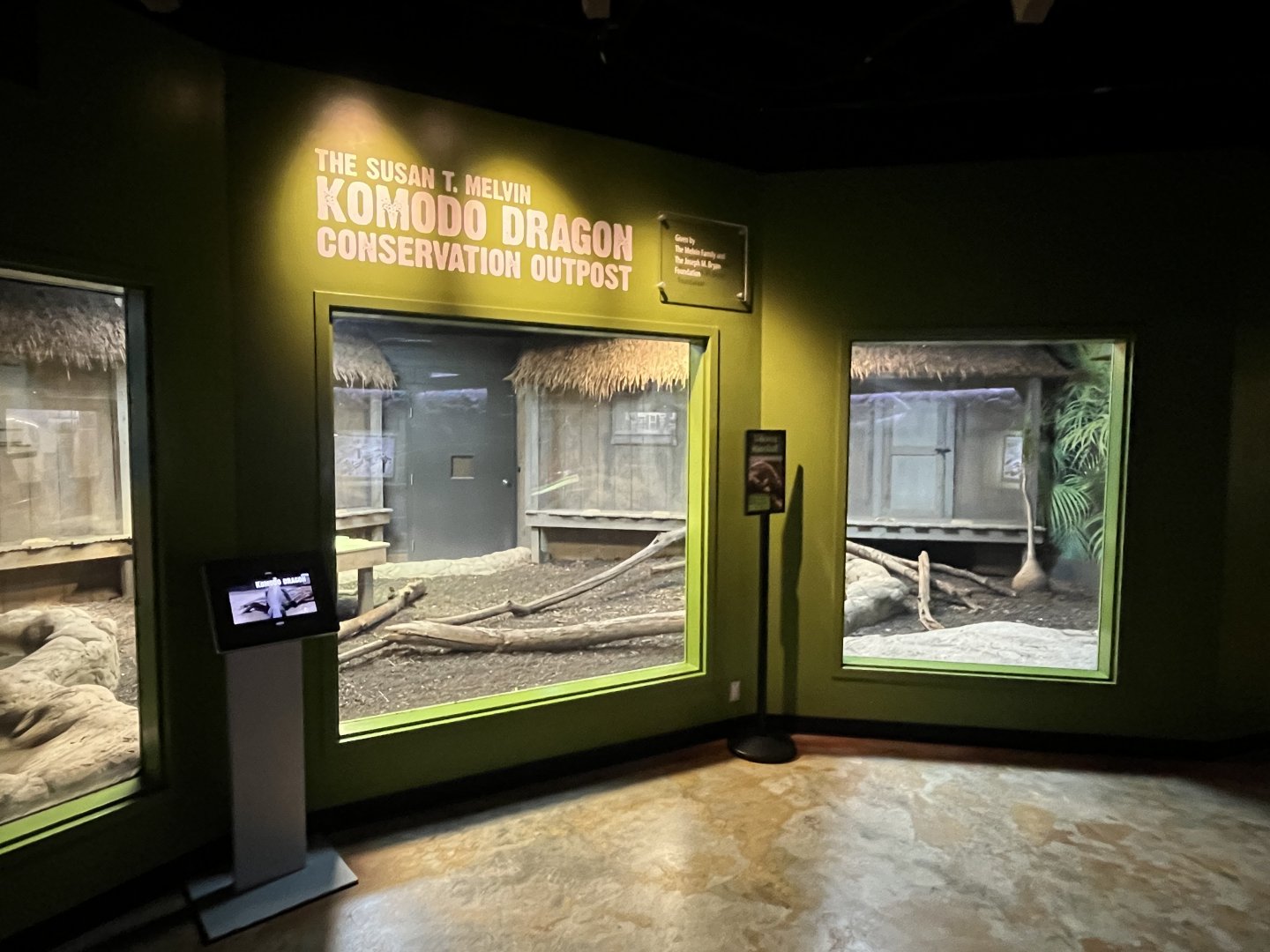 Komodo Dragon Indoor Habitat