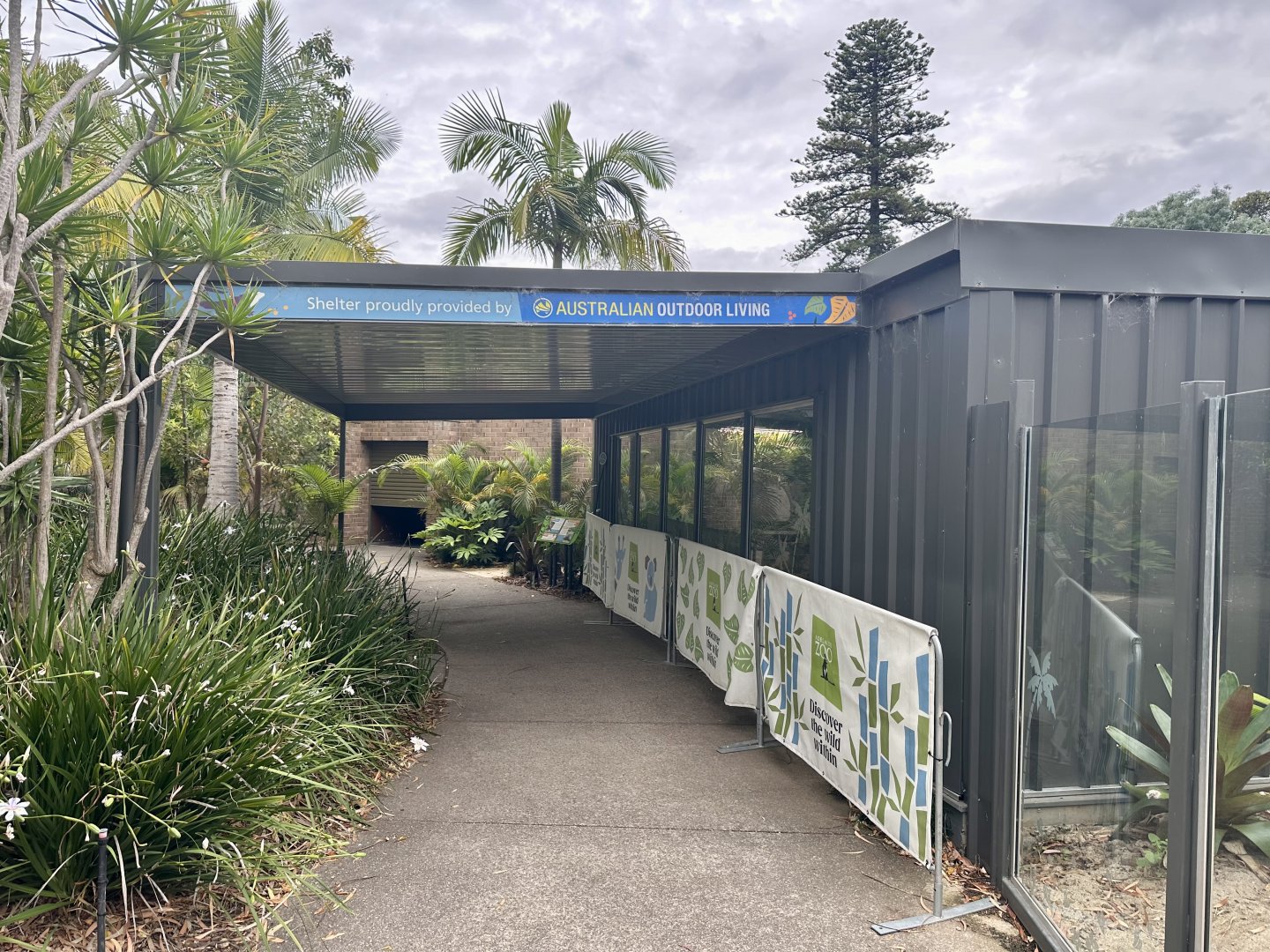 Komodo Dragon Indoor Viewing