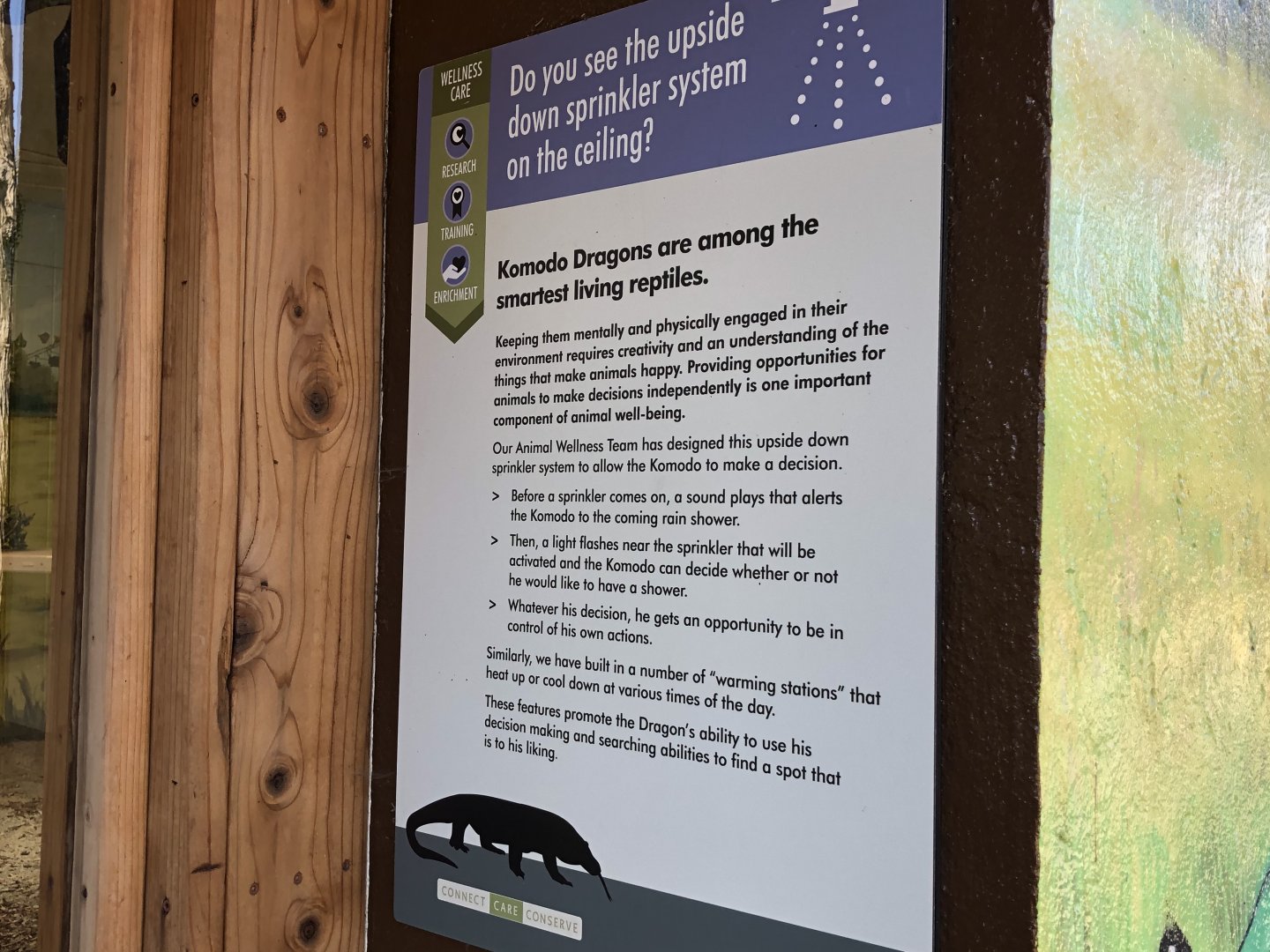 Komodo dragon intelligence signage