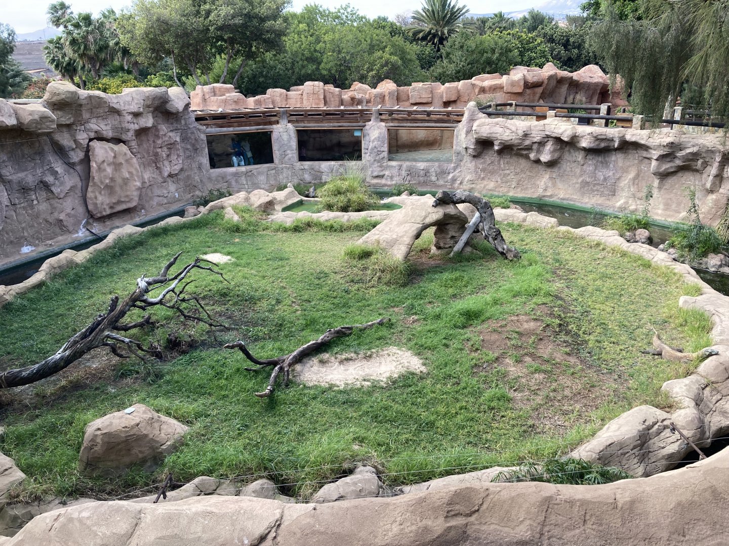 Komodo Dragon Island