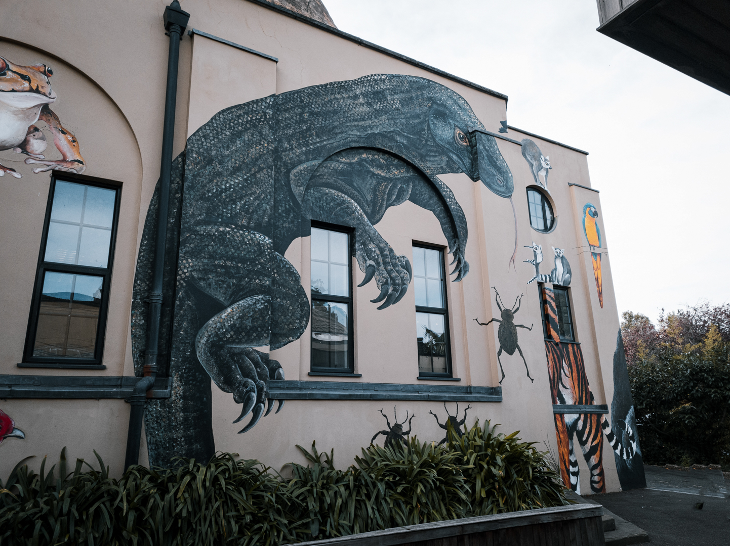 Komodo Dragon mural