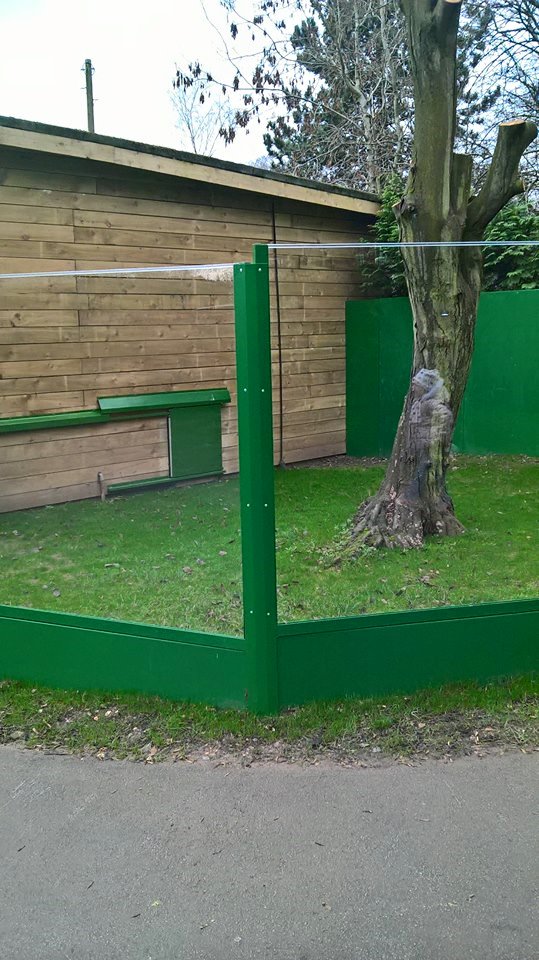 Komodo Dragon Outdoor Enclosure