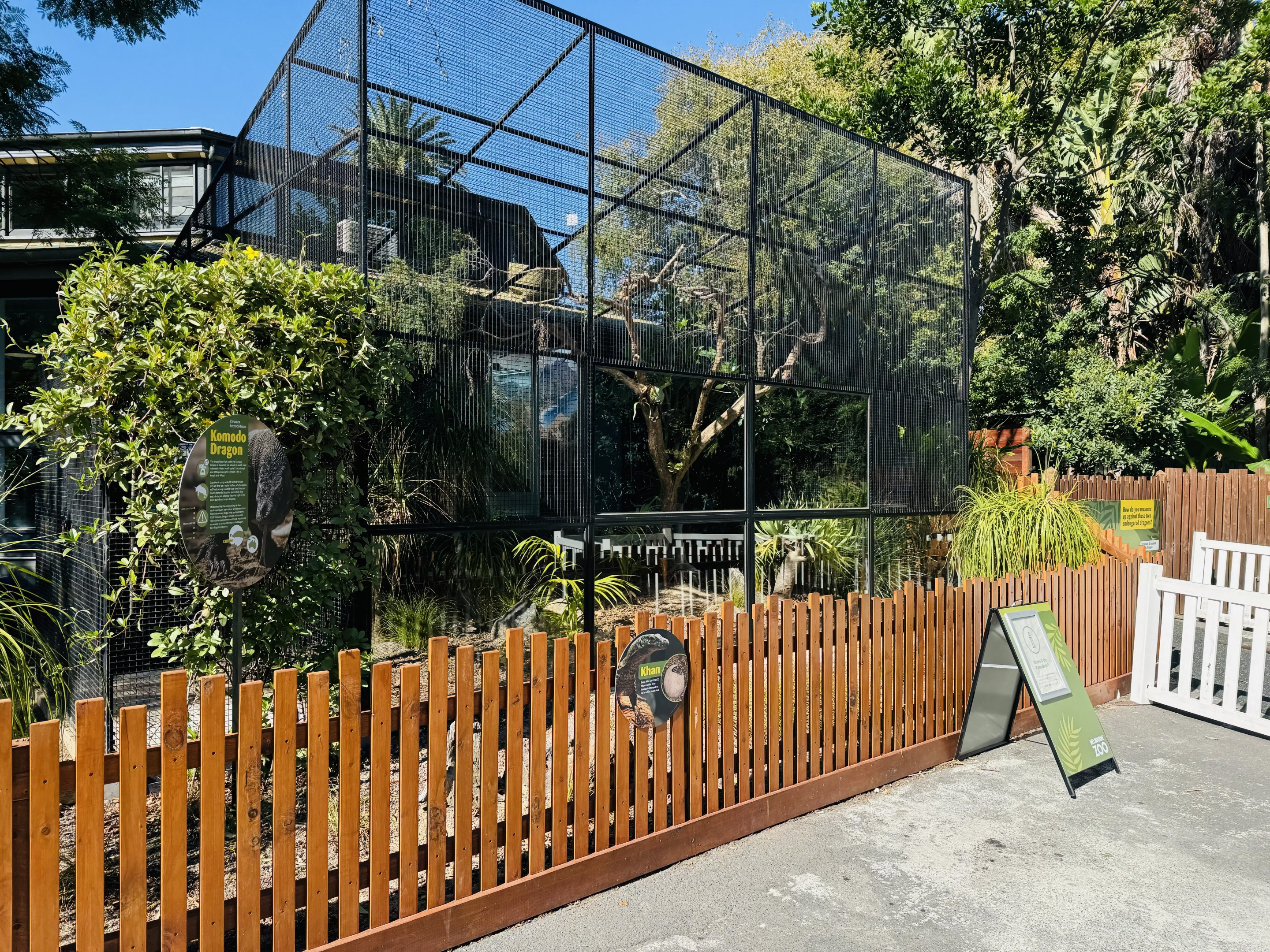 Komodo dragon outdoor enclosure