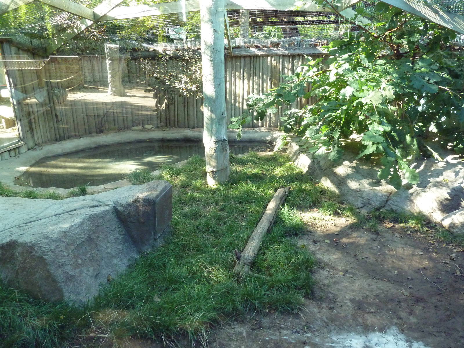 Komodo Dragon Outdoor Exhibit