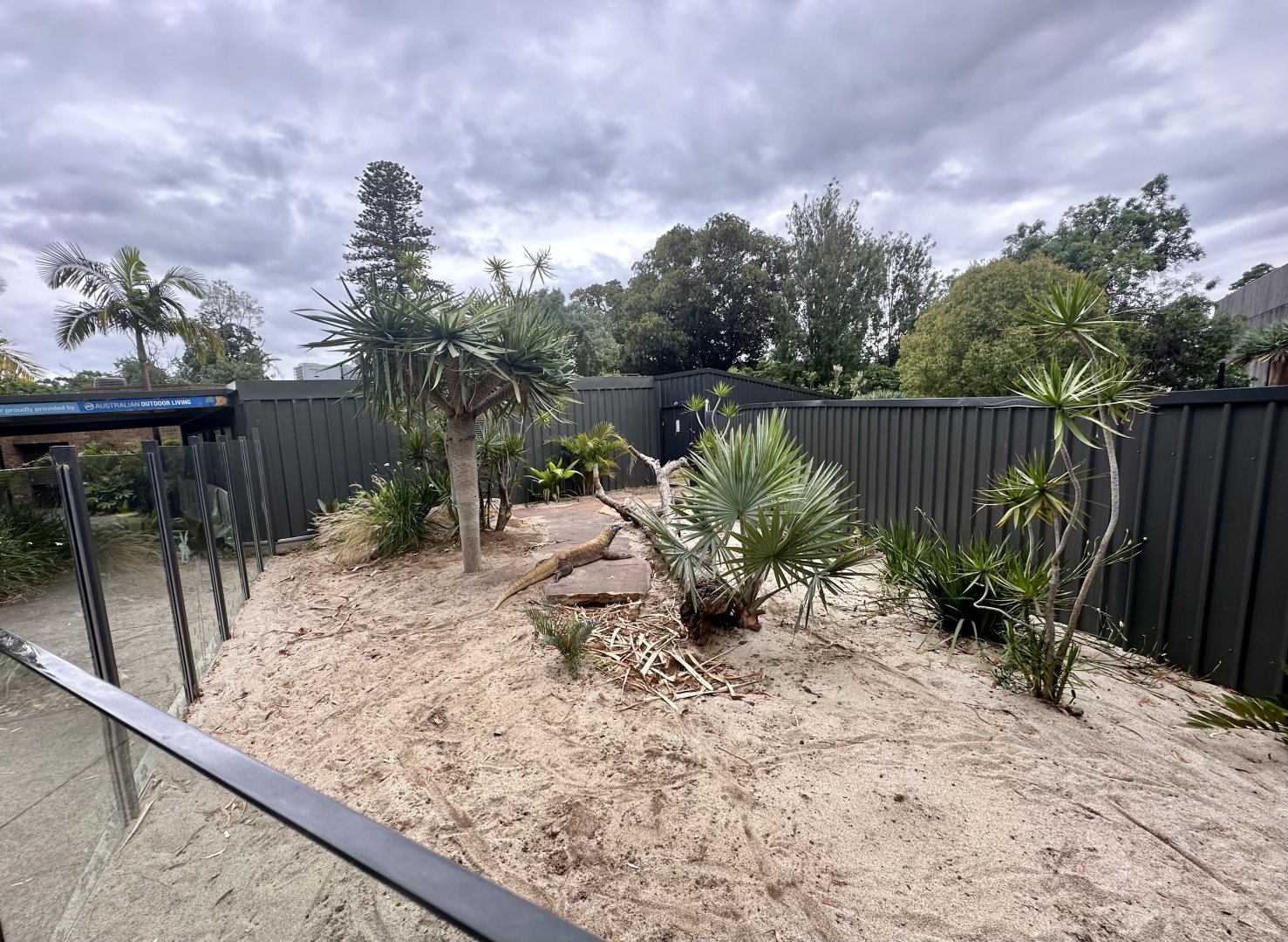 Komodo Dragon Outdoor Exhibit