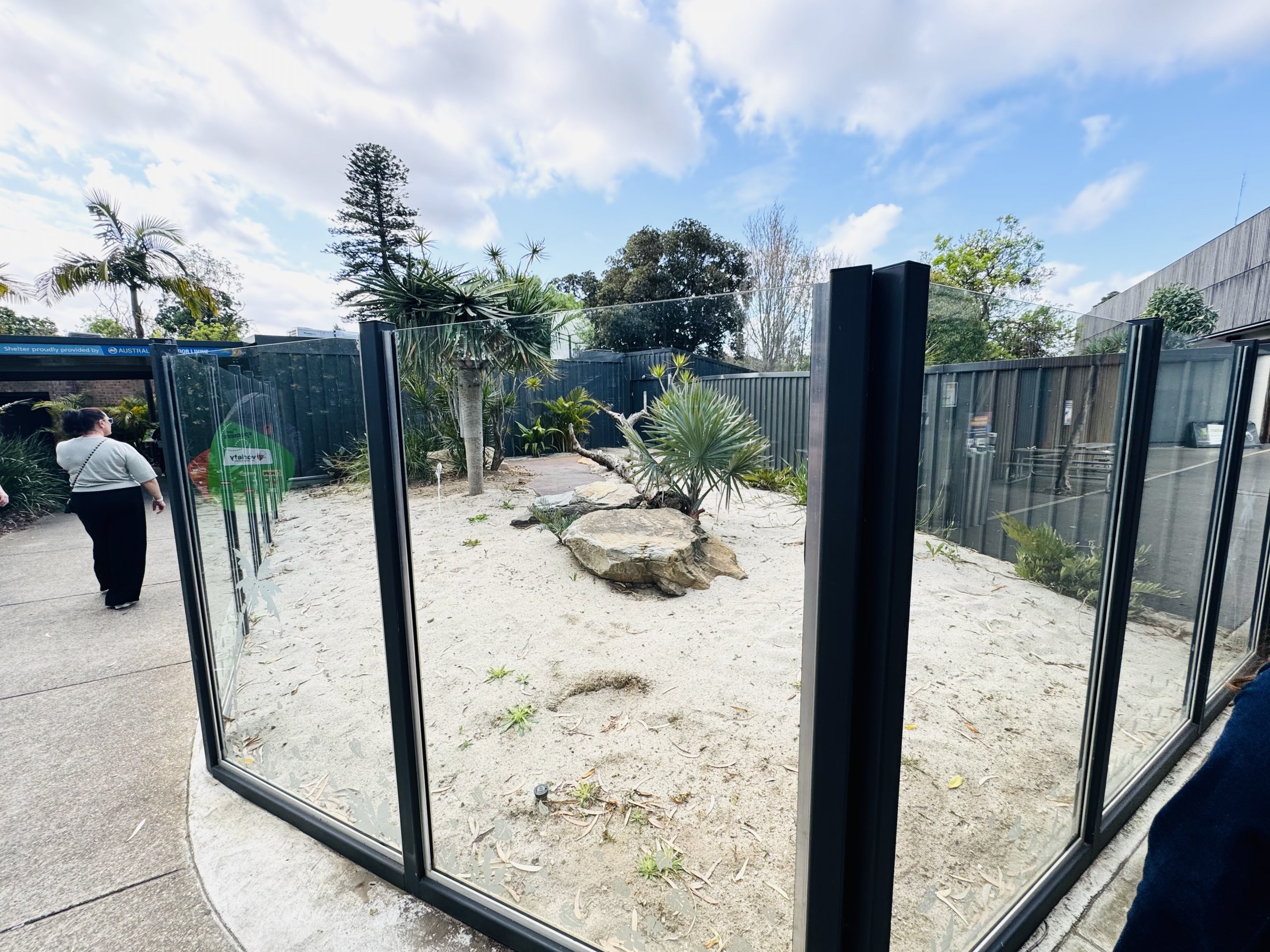 Komodo Dragon outdoor section